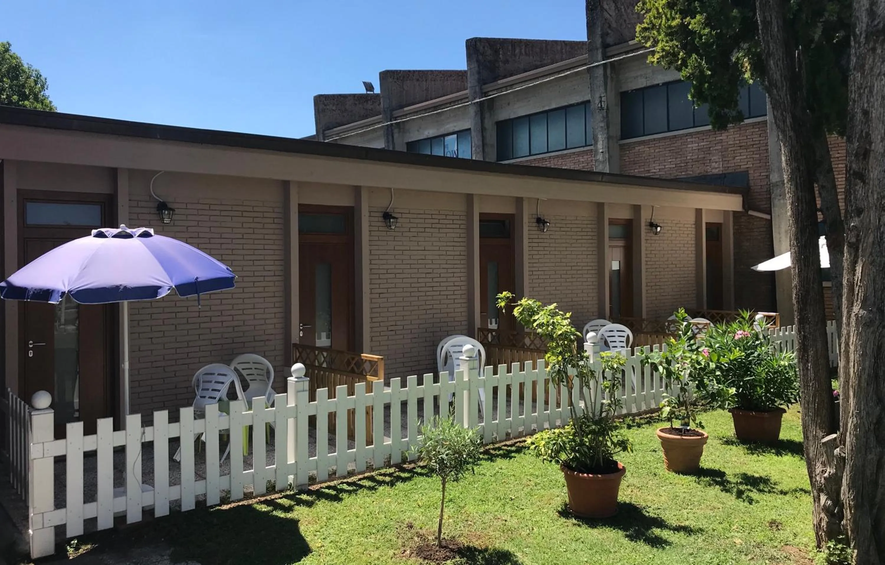 Garden view in Hotel Johnson