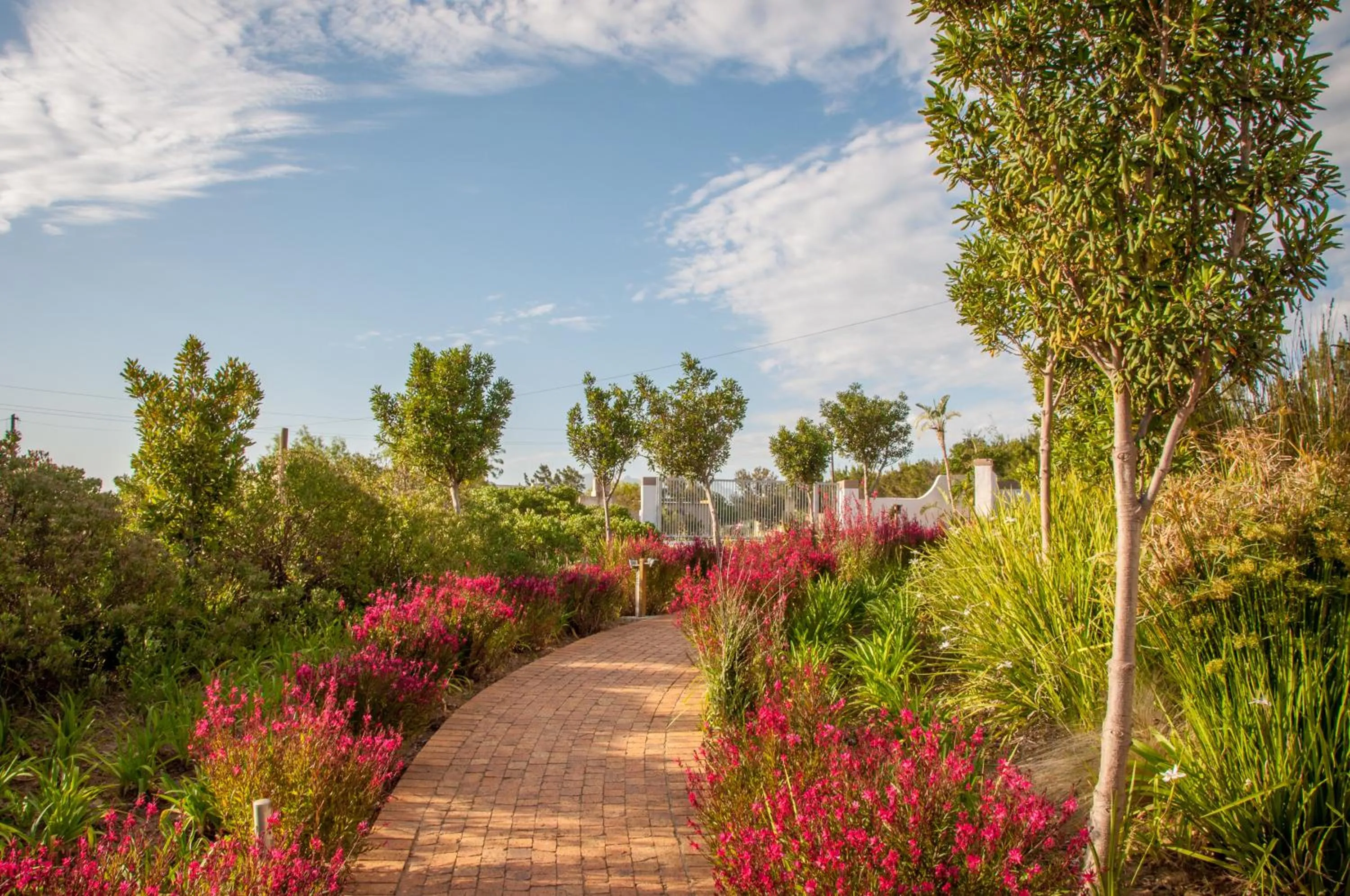 Garden in Wind-Rose Guest House