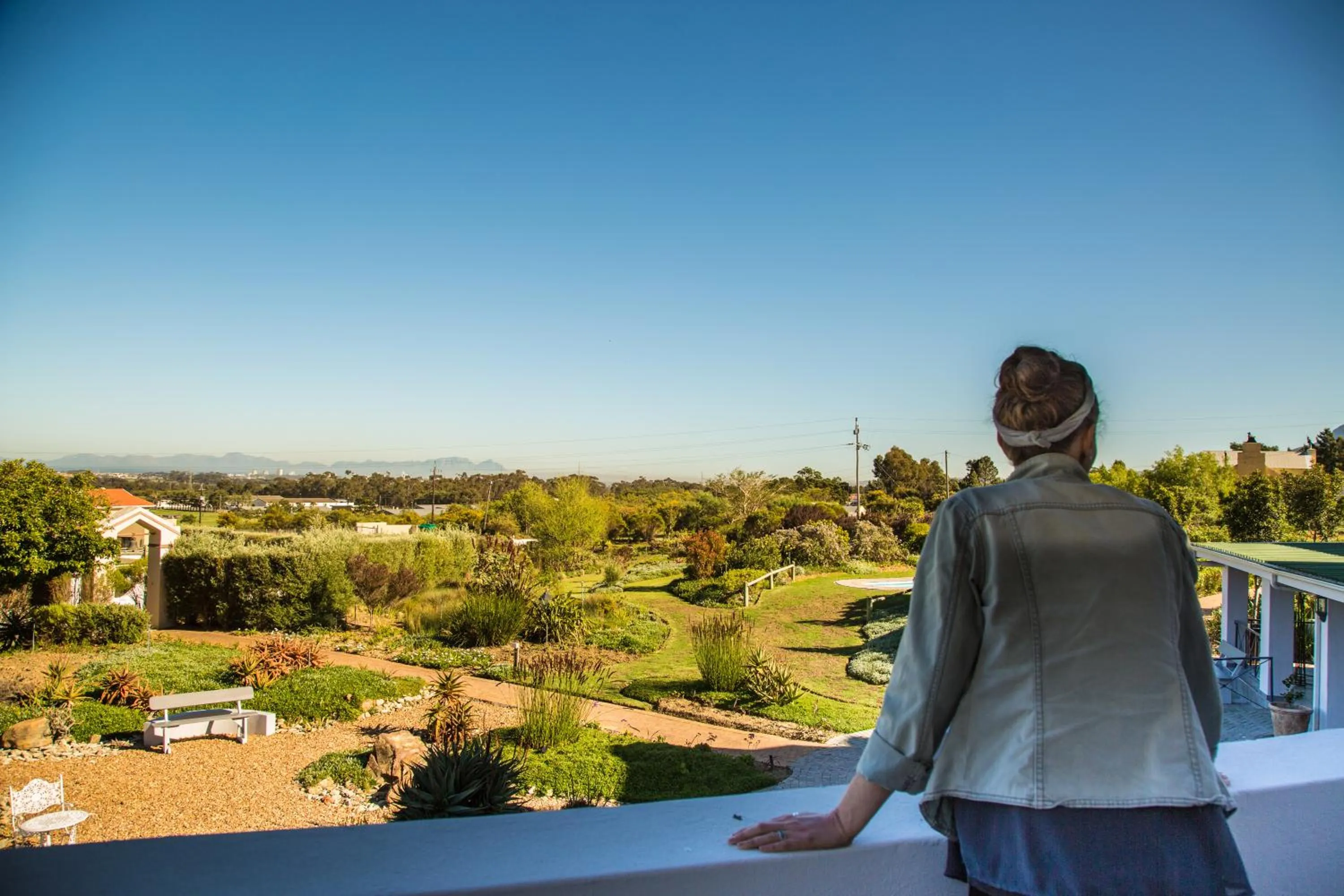 Garden view in Wind-Rose Guest House