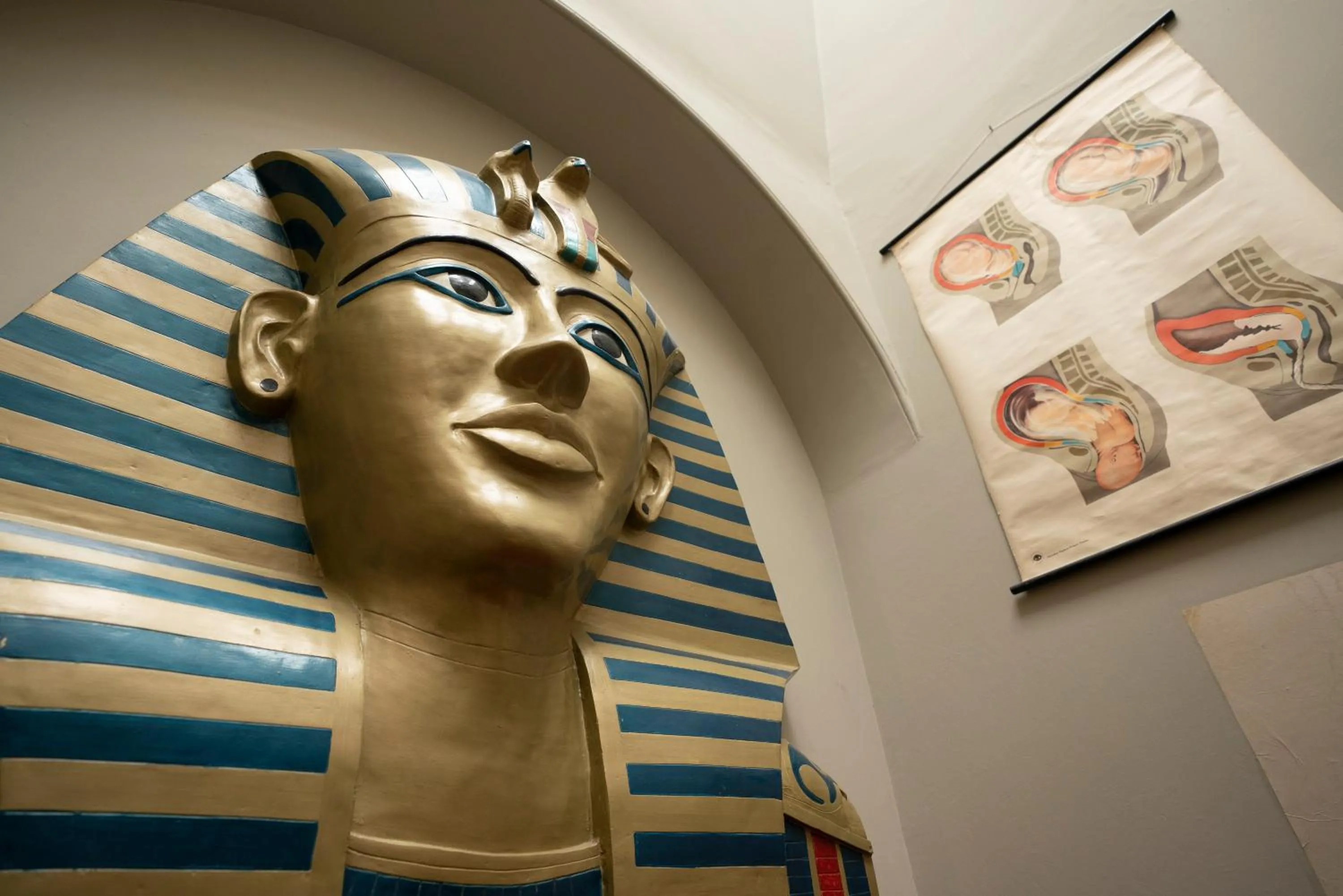 Decorative detail in La Rosa Hotel