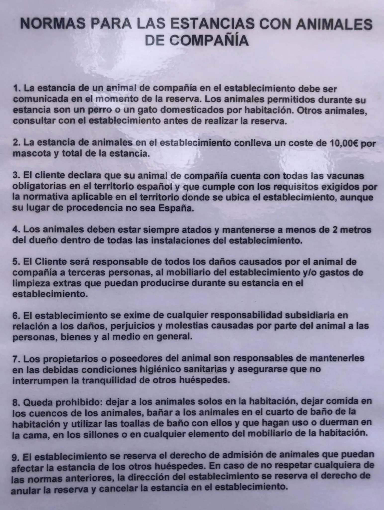 Text overlay in Apartamentos Lobiche