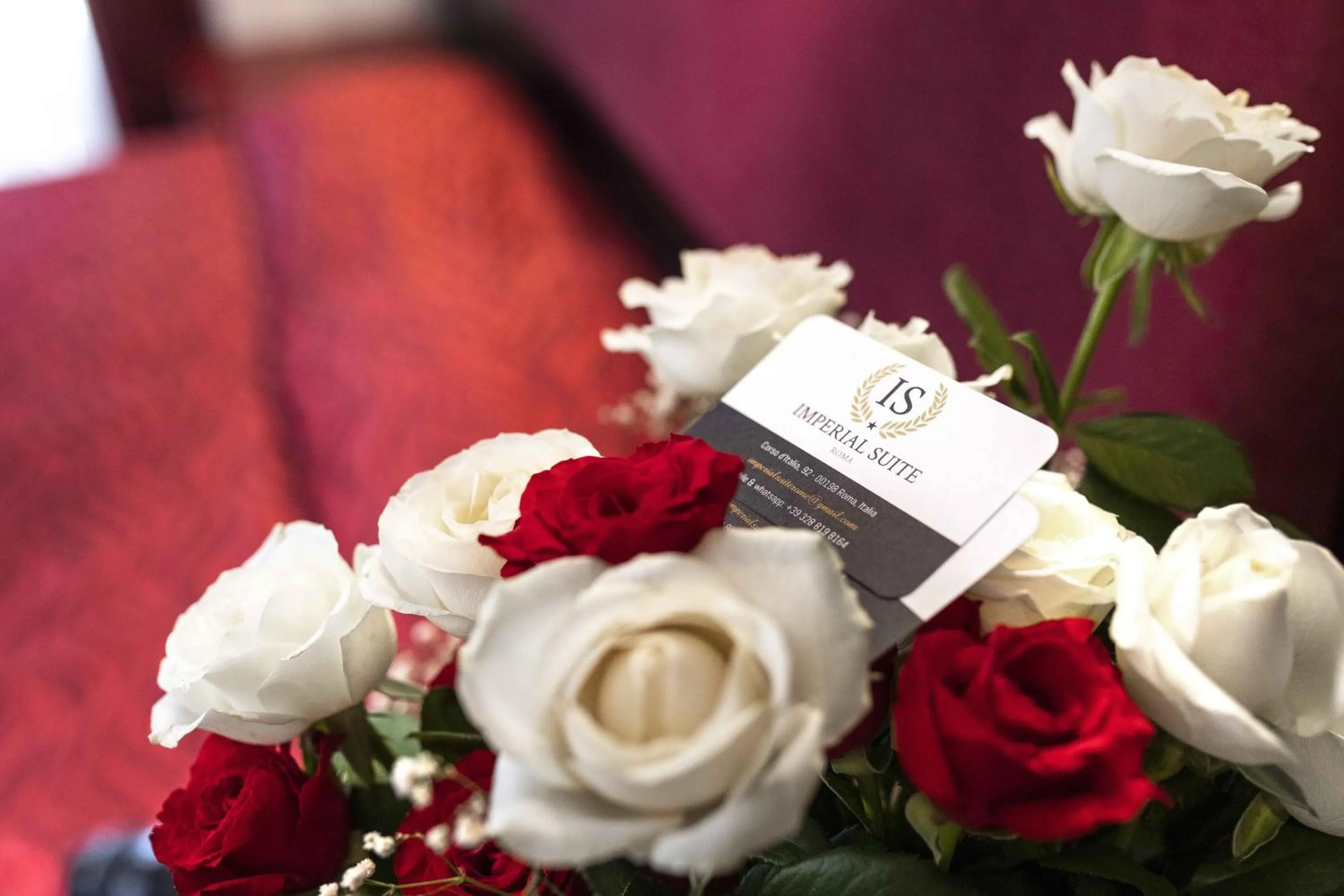 Property logo or sign in Imperial Suite Guest House