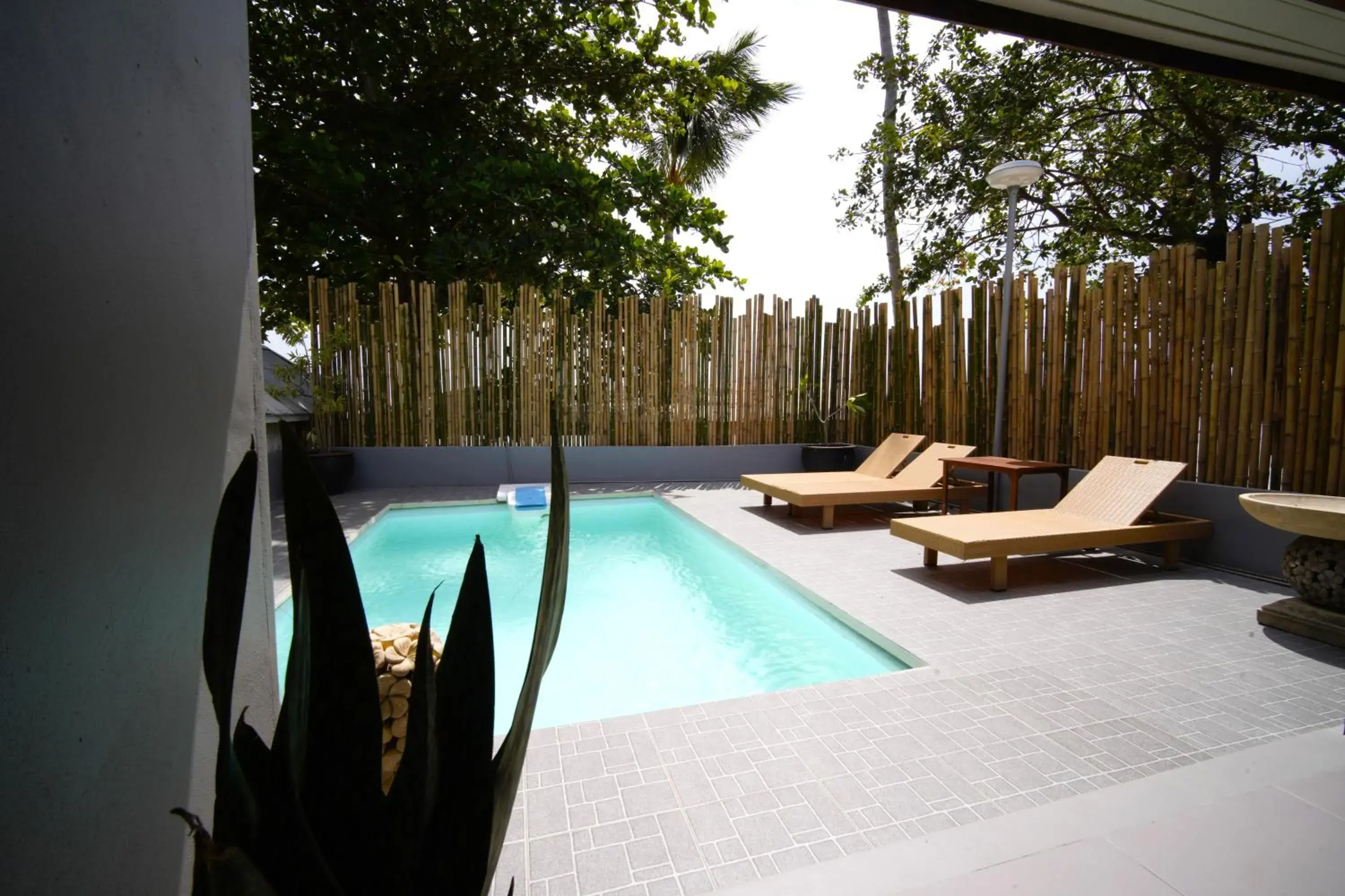 Swimming pool in Villa Cha-Cha Salad Beach Koh Phangan Swimming pool in Villa Cha-Cha Salad Beach Koh Phangan