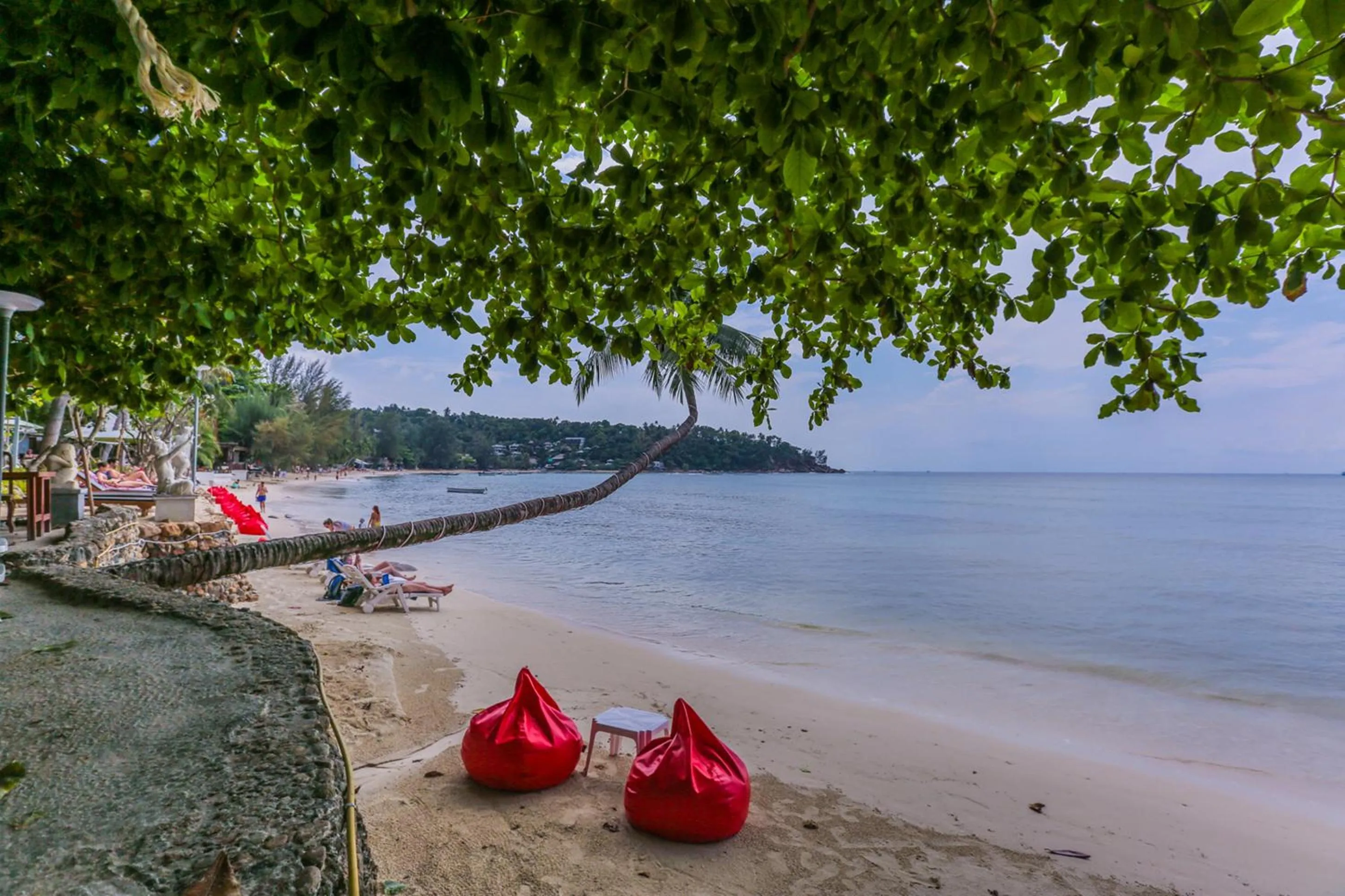 Beach in Villa Cha-Cha Salad Beach Koh Phangan