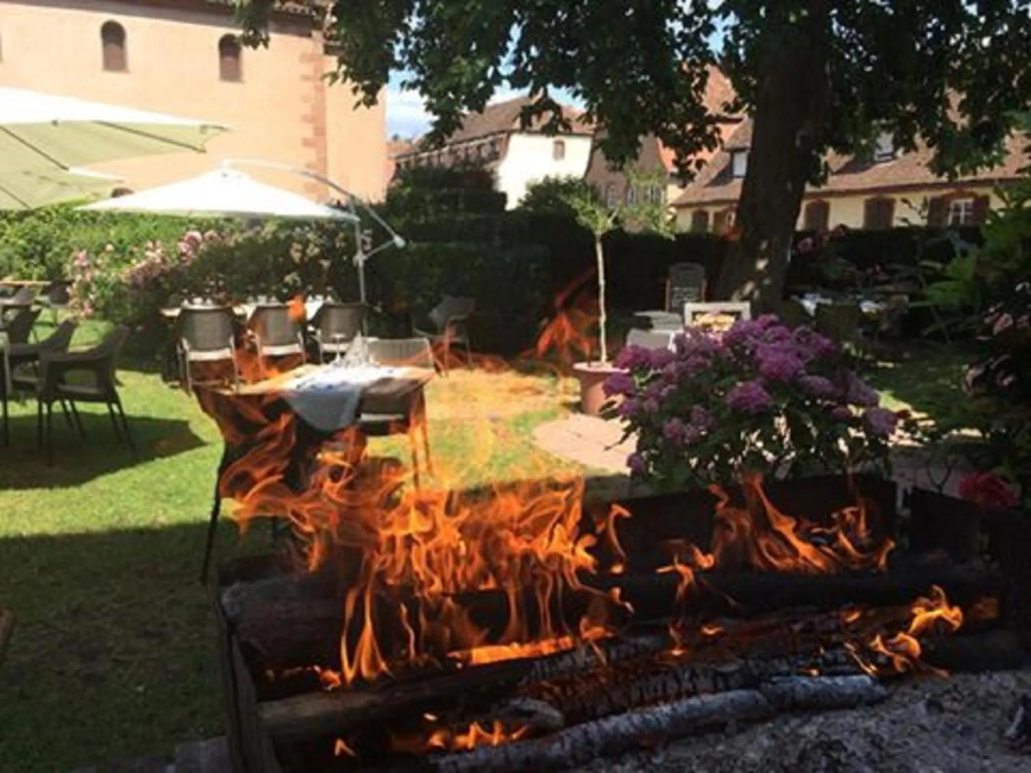 Lunch in Logis Hôtel-Restaurant du Herrenstein