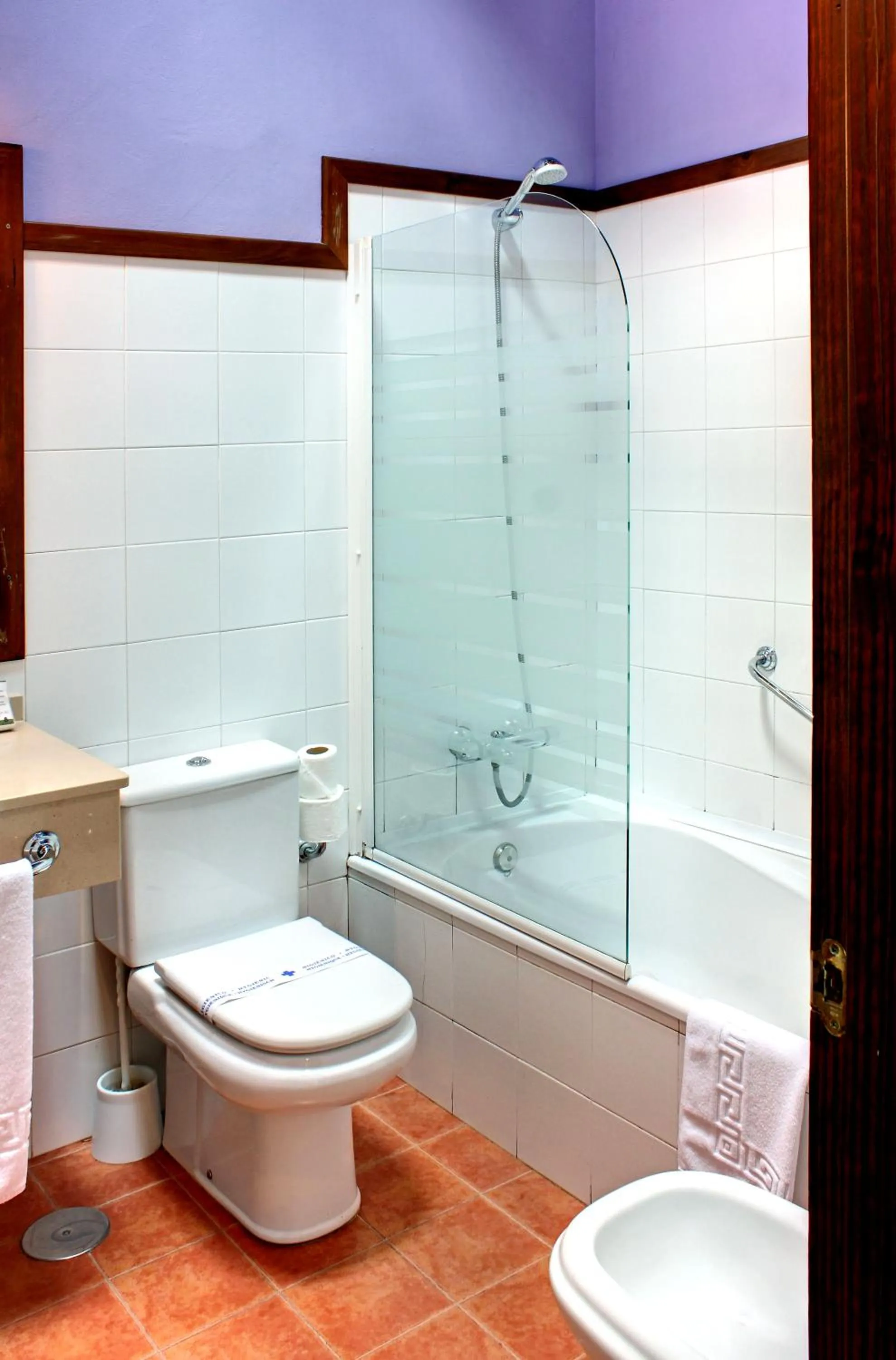 Toilet in Hotel Rural Coviella