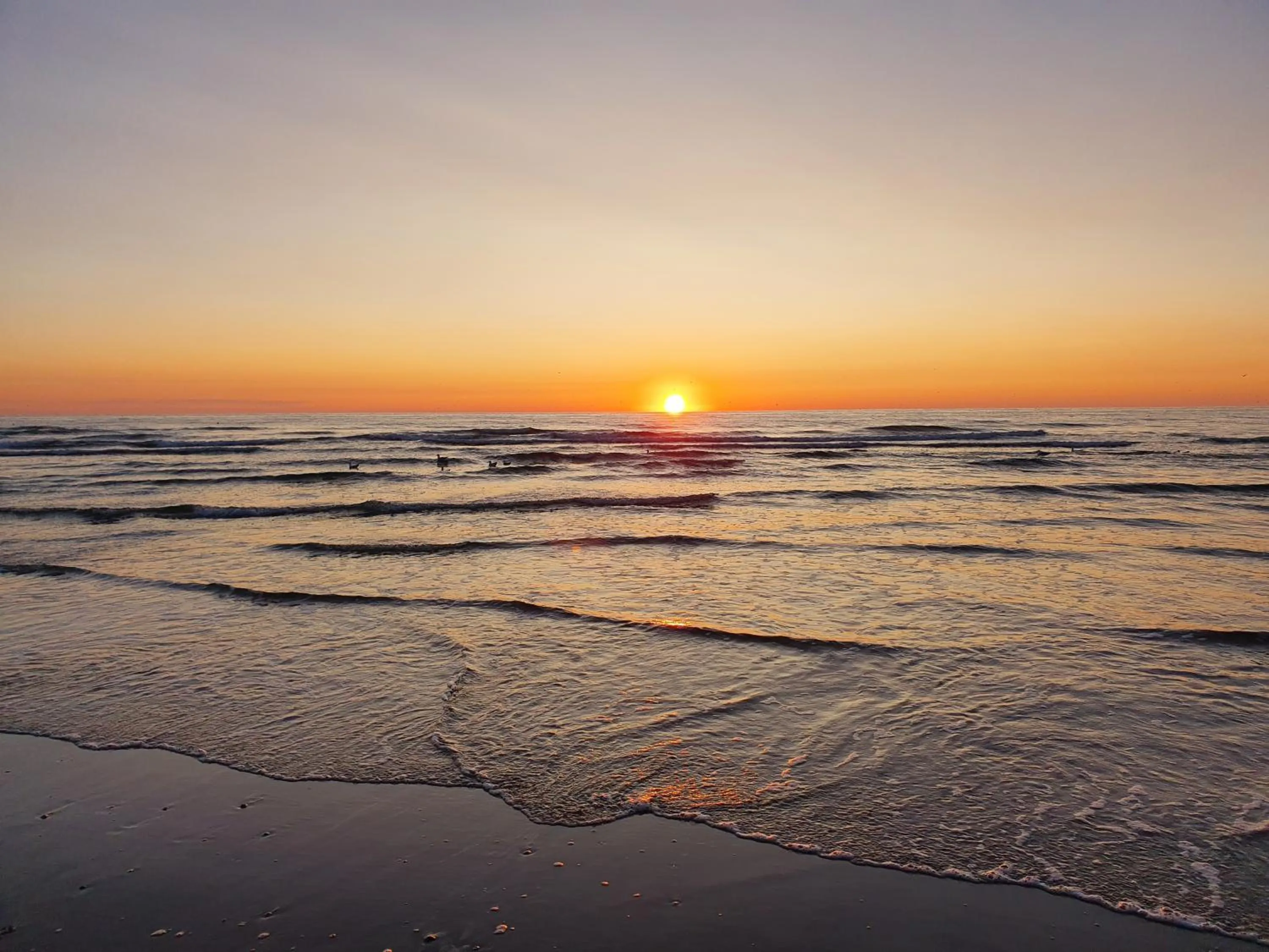 Natural landscape in Hotel Den Burg