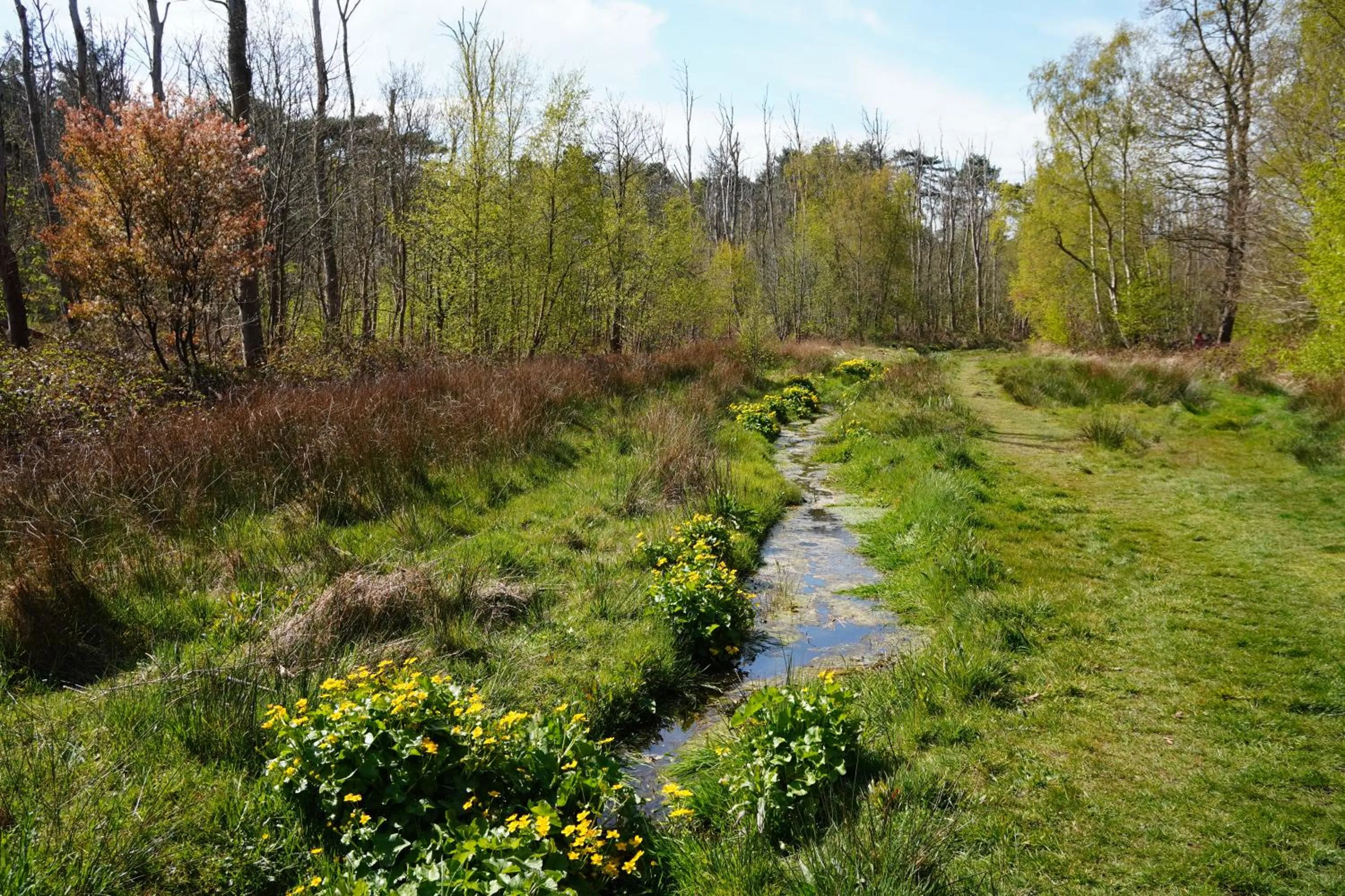 Day in Hotel Den Burg