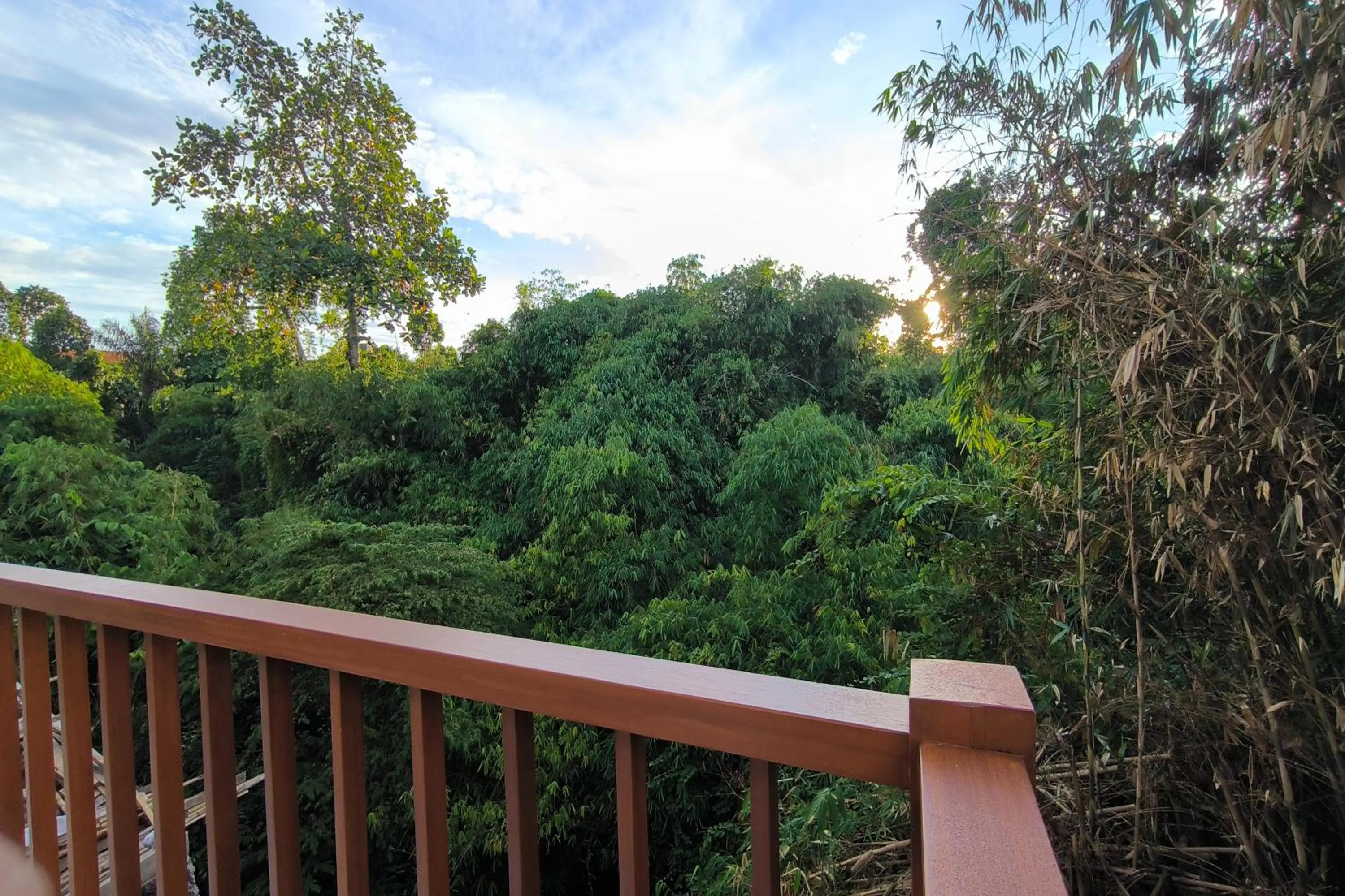 Balcony/Terrace in Bhuana Shanti Homestay Ubud
