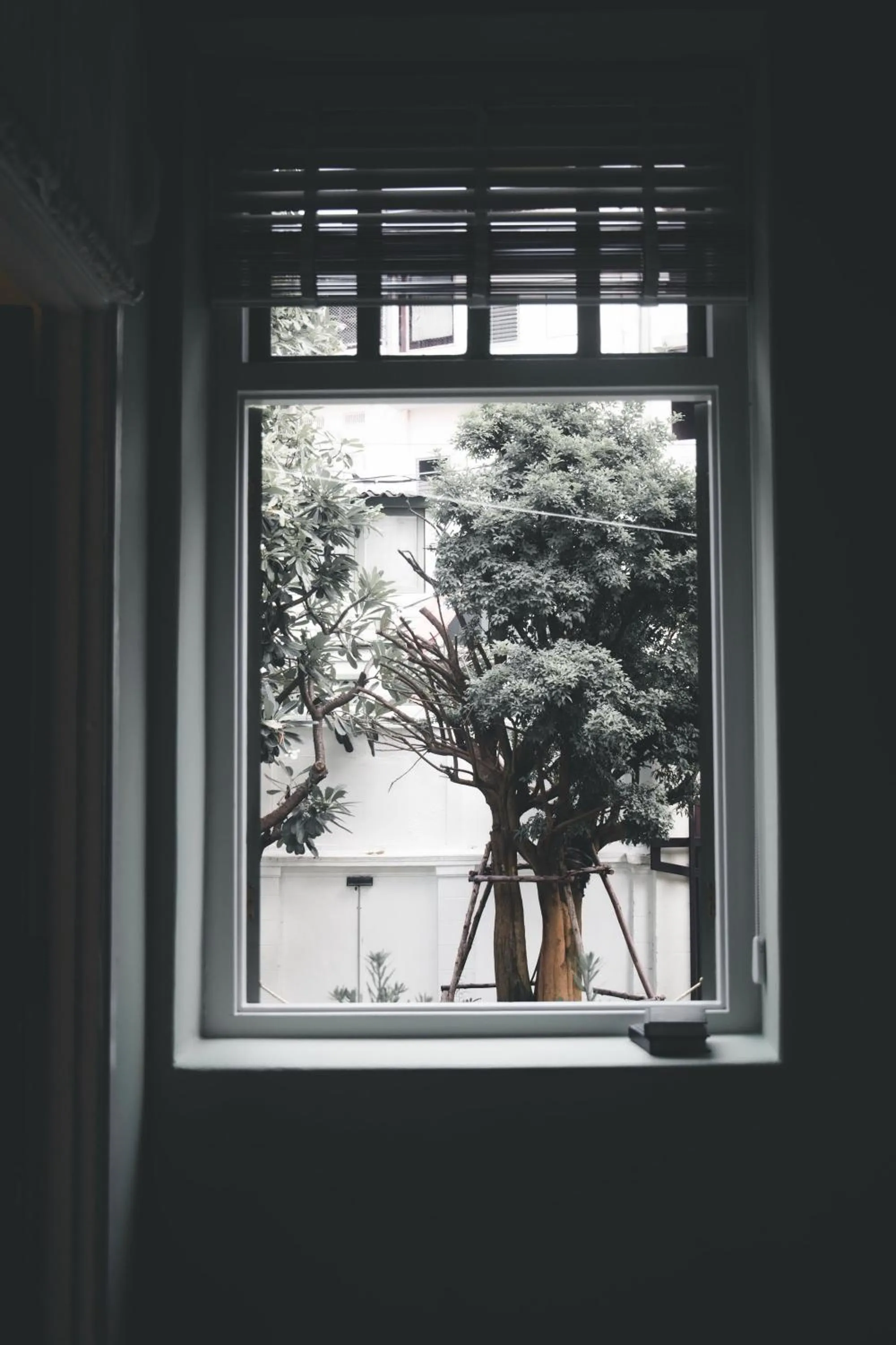 View (from property/room) in Baan 2459 Heritage House