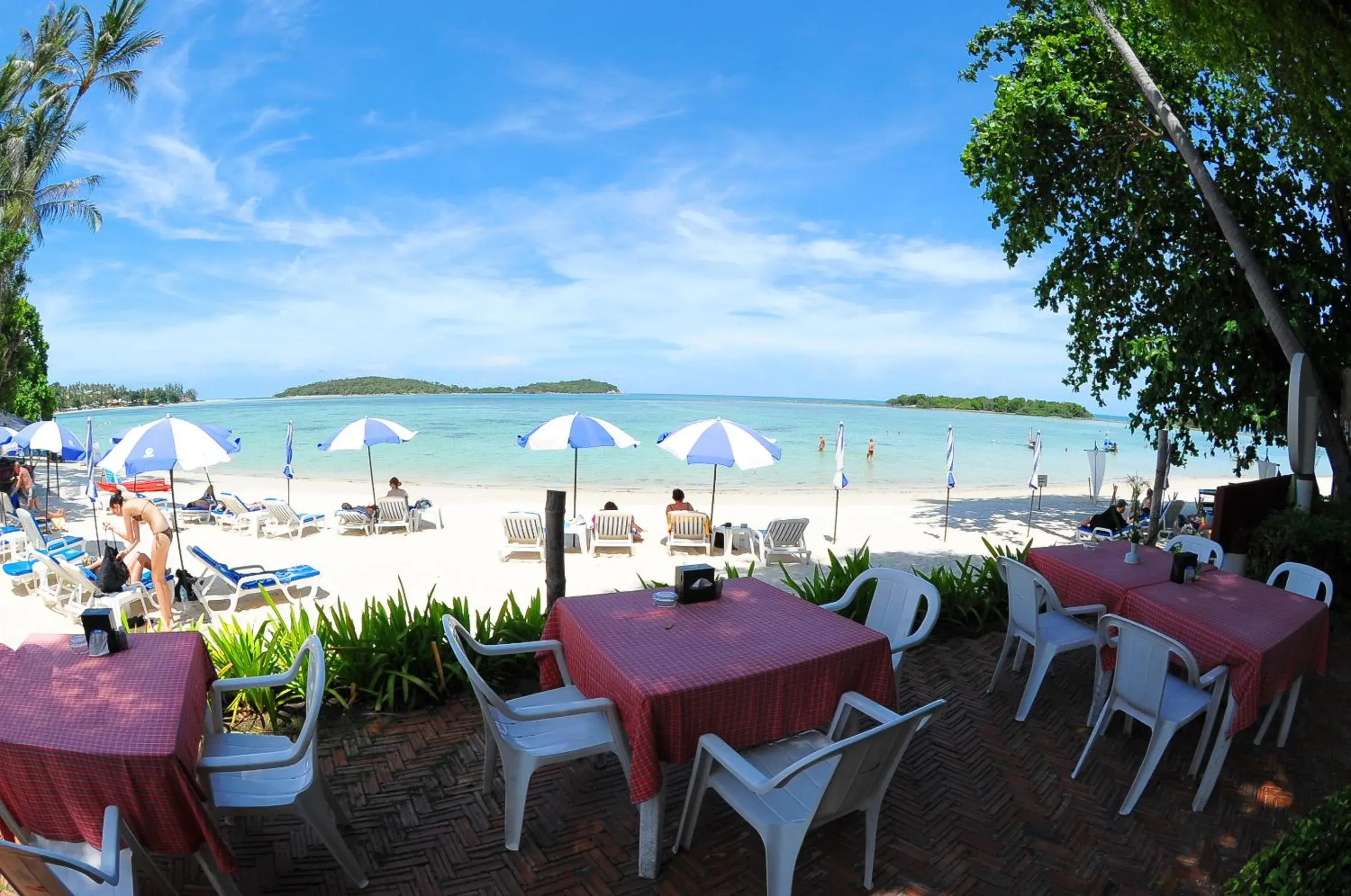 Restaurant/places to eat in Samui Natien Resort Restaurant/places to eat in Samui Natien Resort