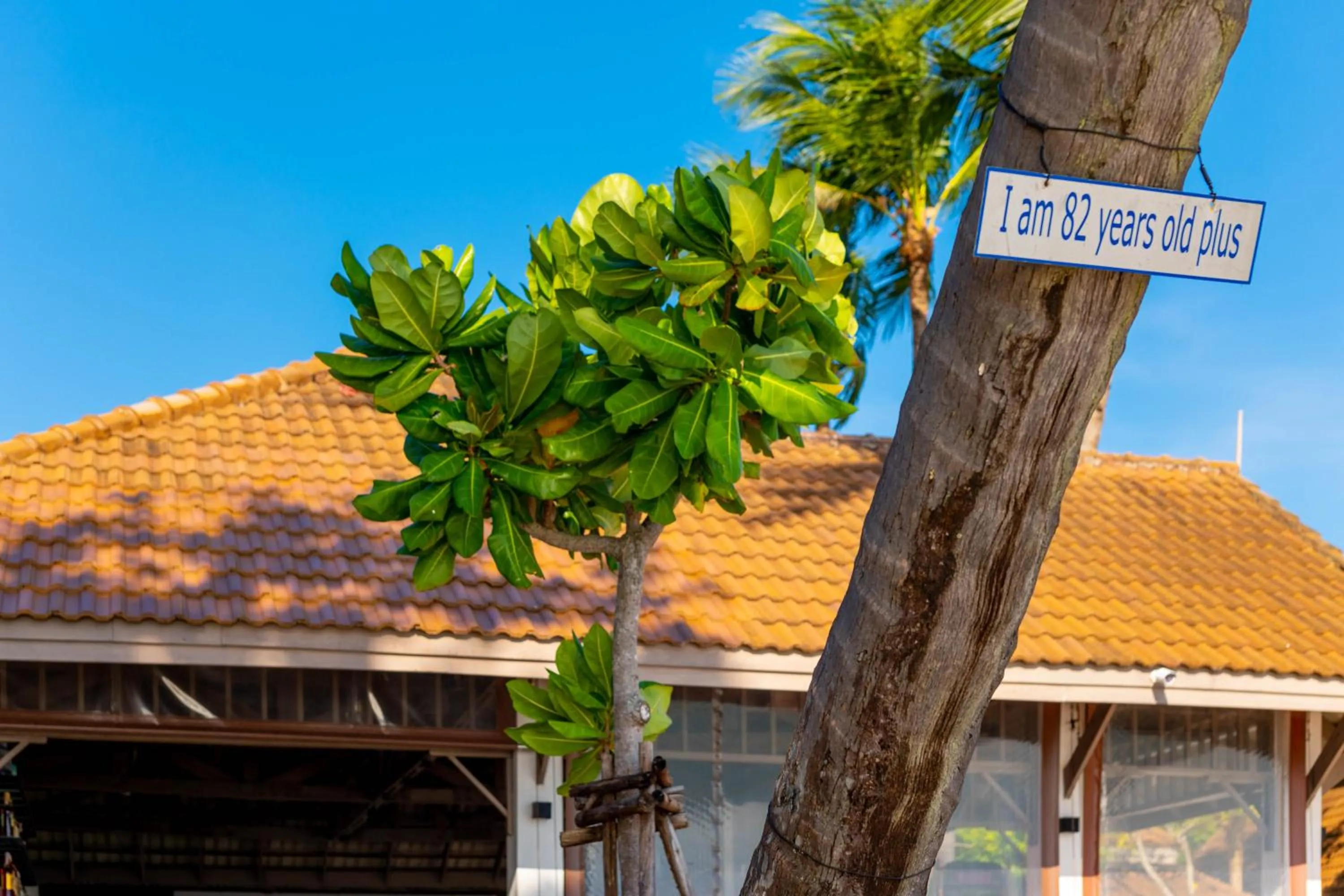 Restaurant/places to eat in Samui Natien Resort