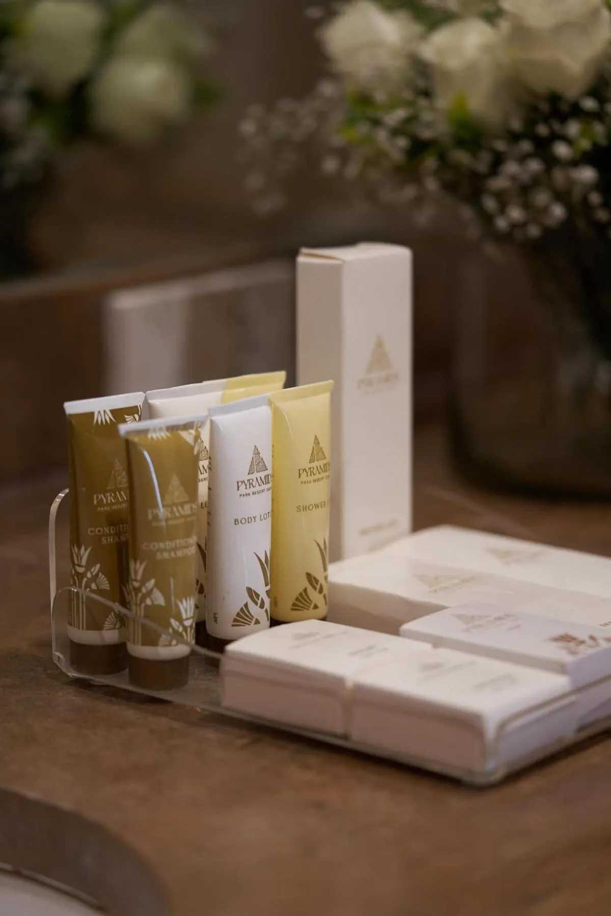 Pyramids Park Resort Cairo