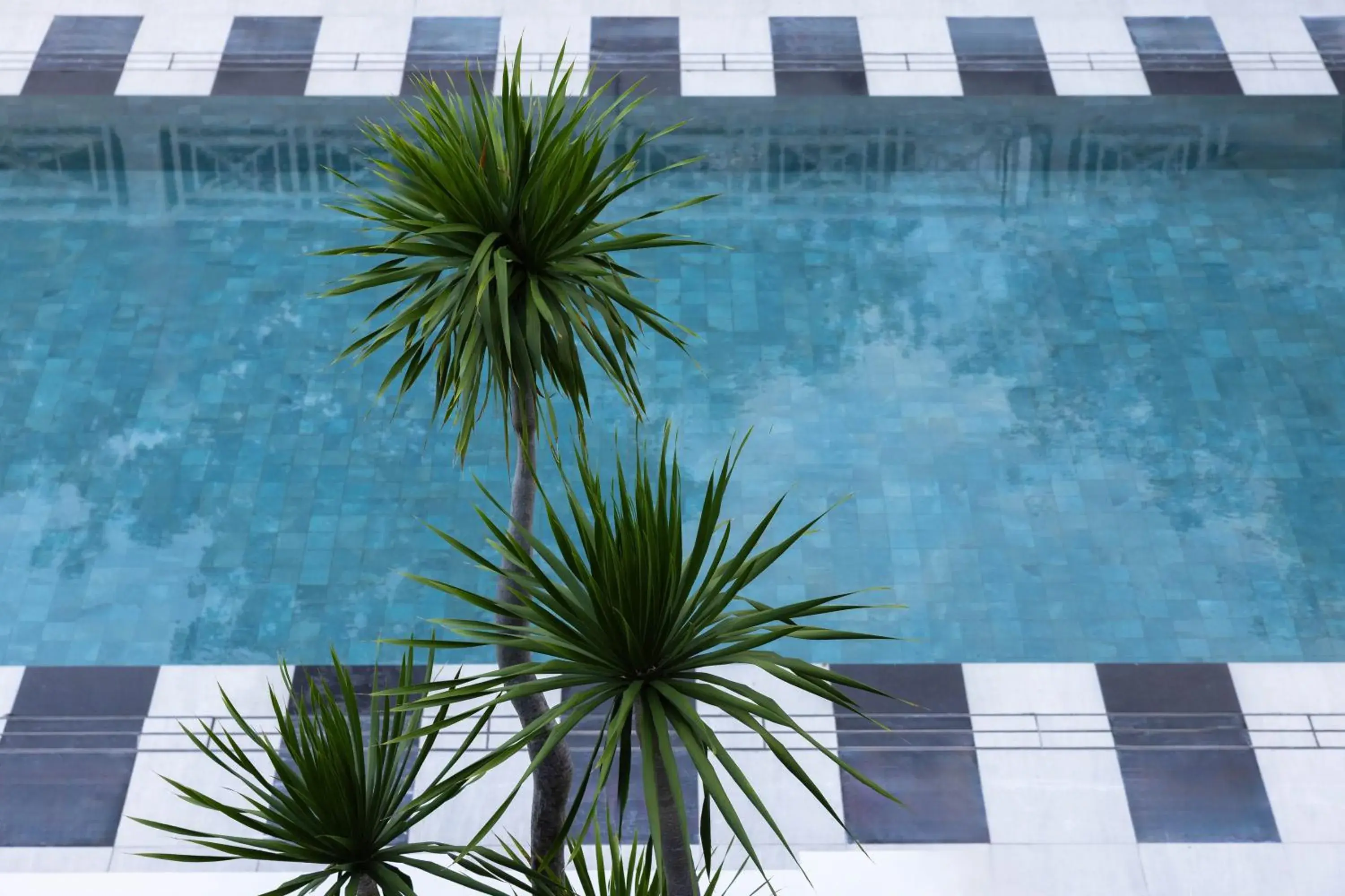 Swimming pool in METT Singapore Swimming pool in METT Singapore