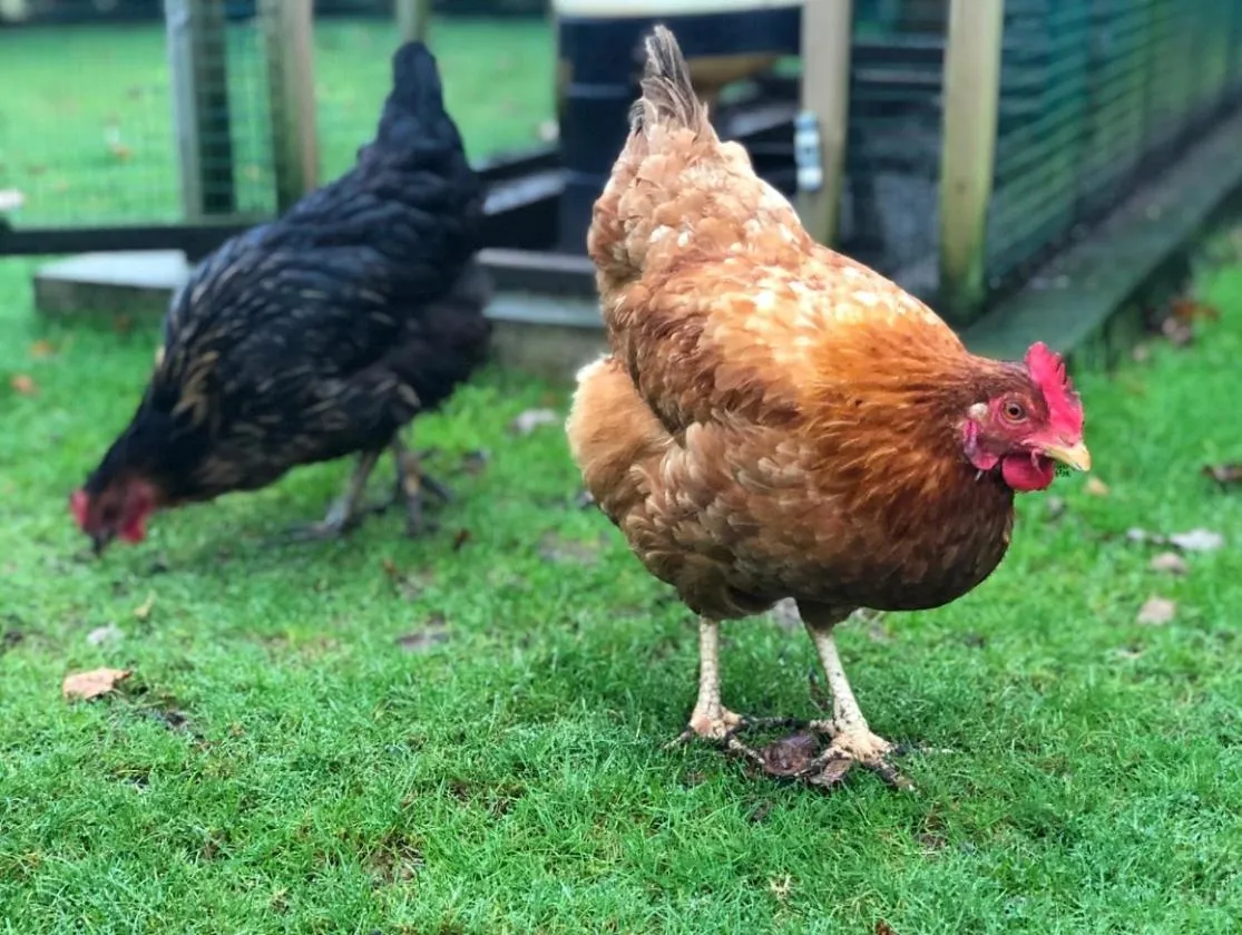 The Old Rectory Somerset