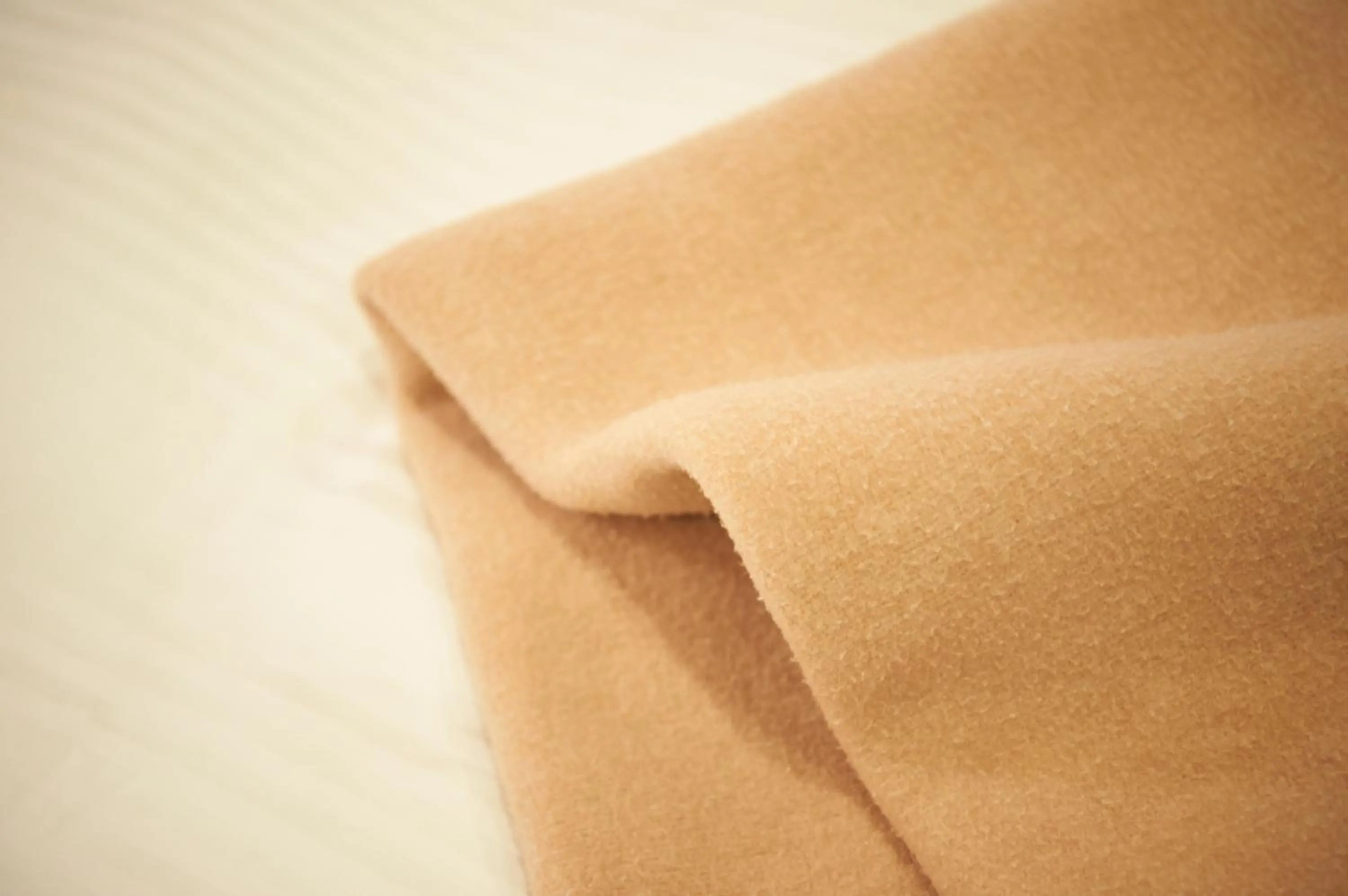 Other in Sotetsu Fresa Inn Ginza Sanchome