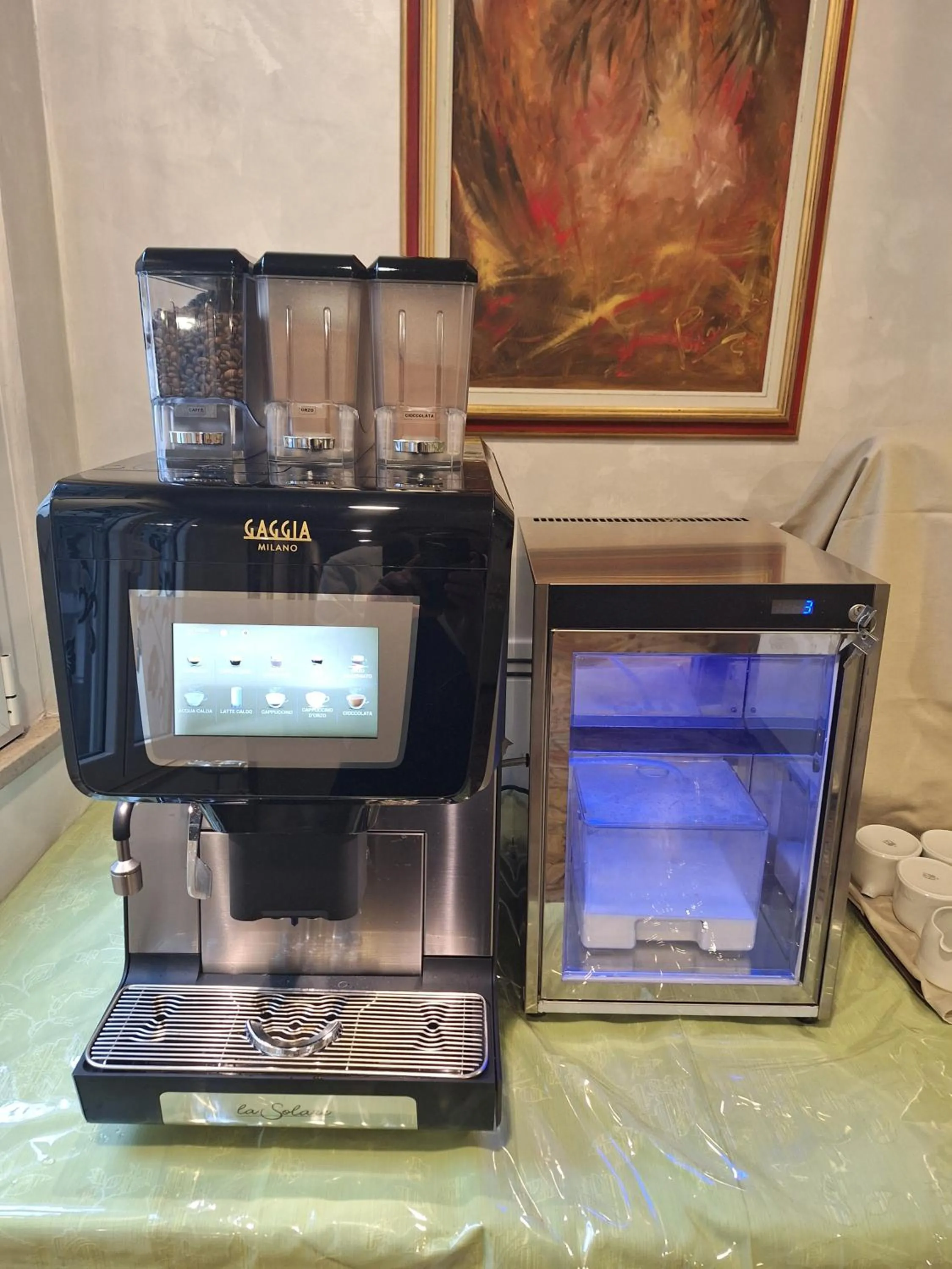 Coffee/tea facilities in Hotel Erika
