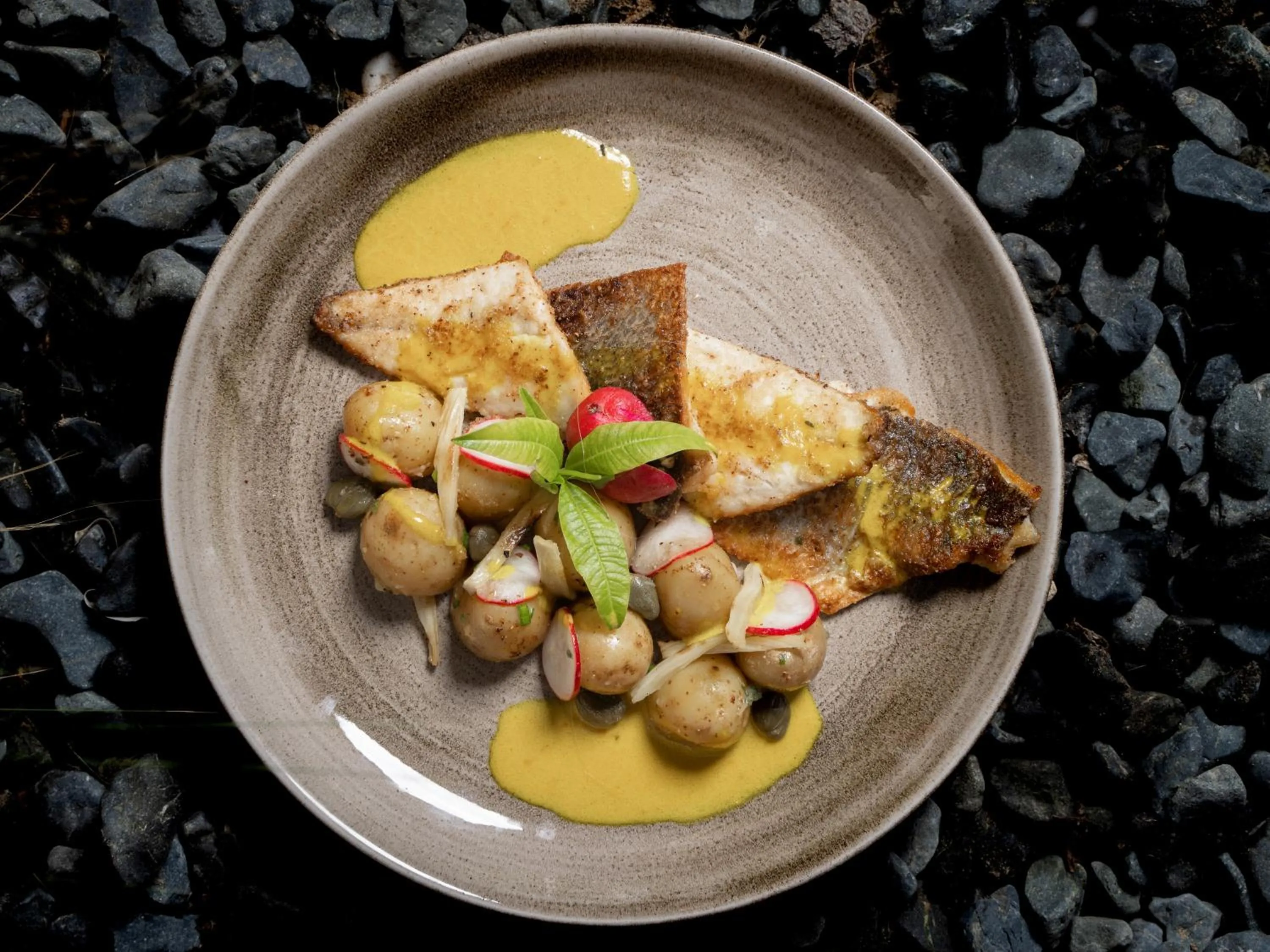 Food and drinks in Alexandra Beach Resort & Spa