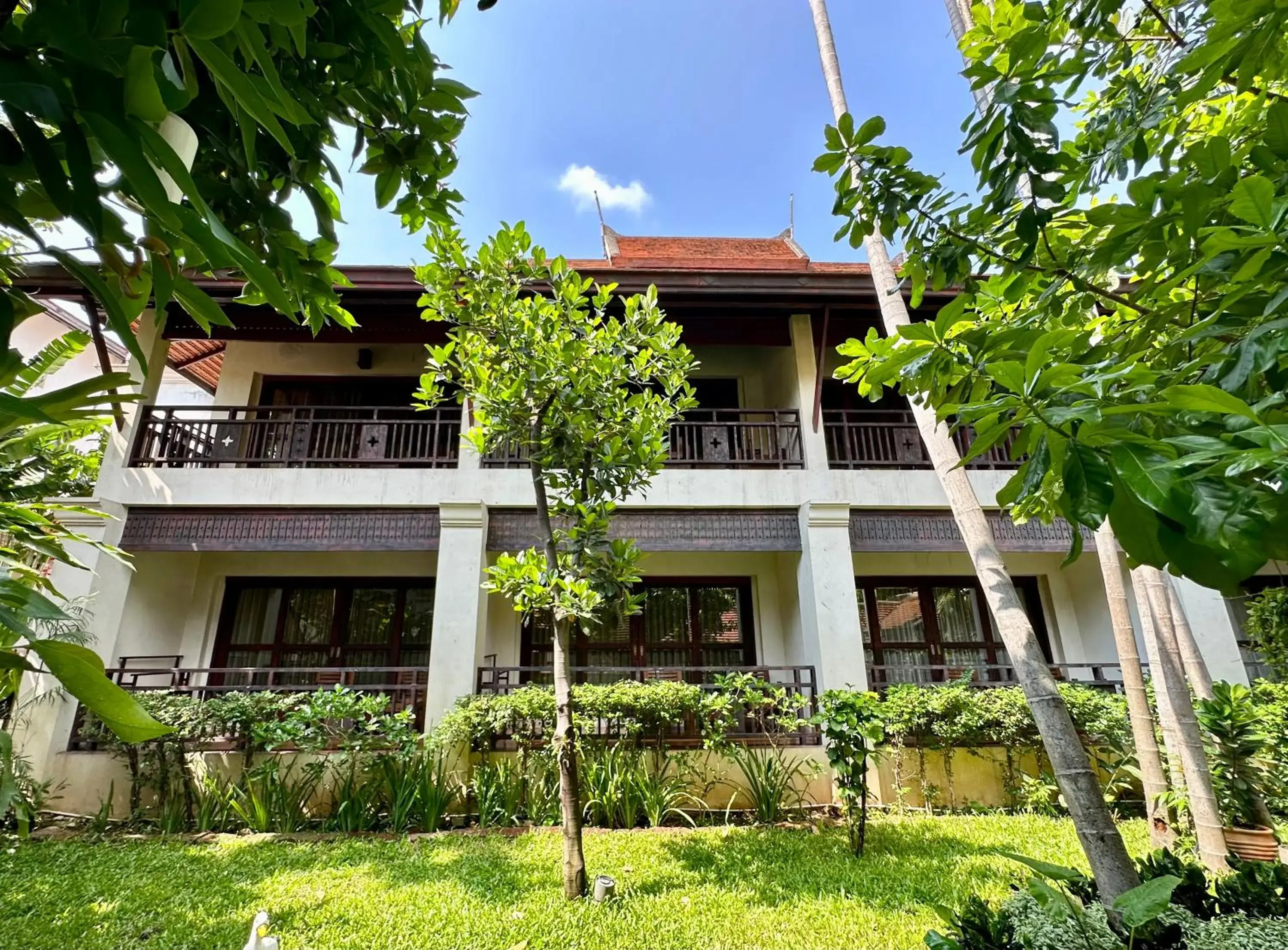 Garden view in The Rim Chiang Mai Garden view in The Rim Chiang Mai