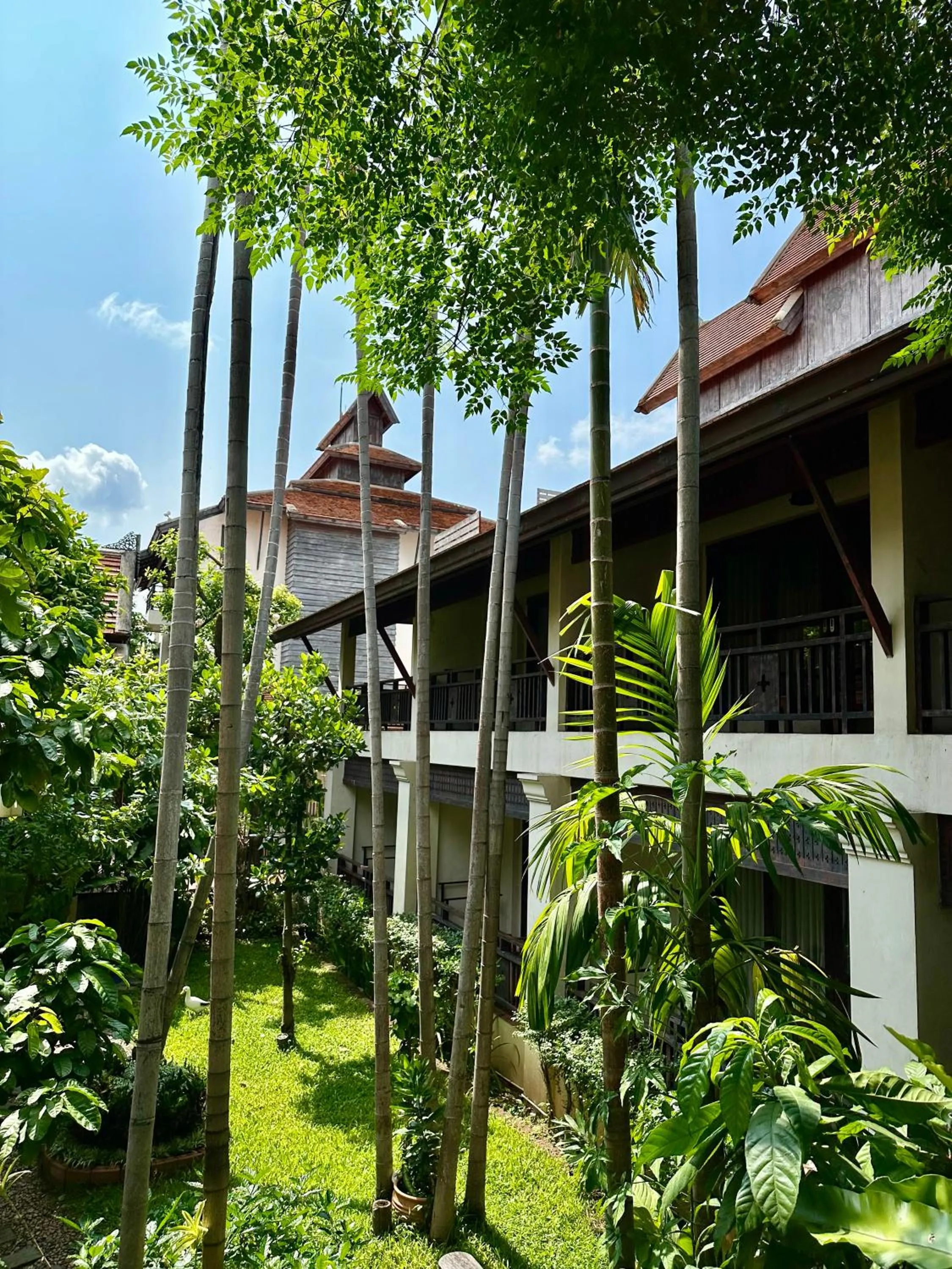 Garden view in The Rim Chiang Mai
