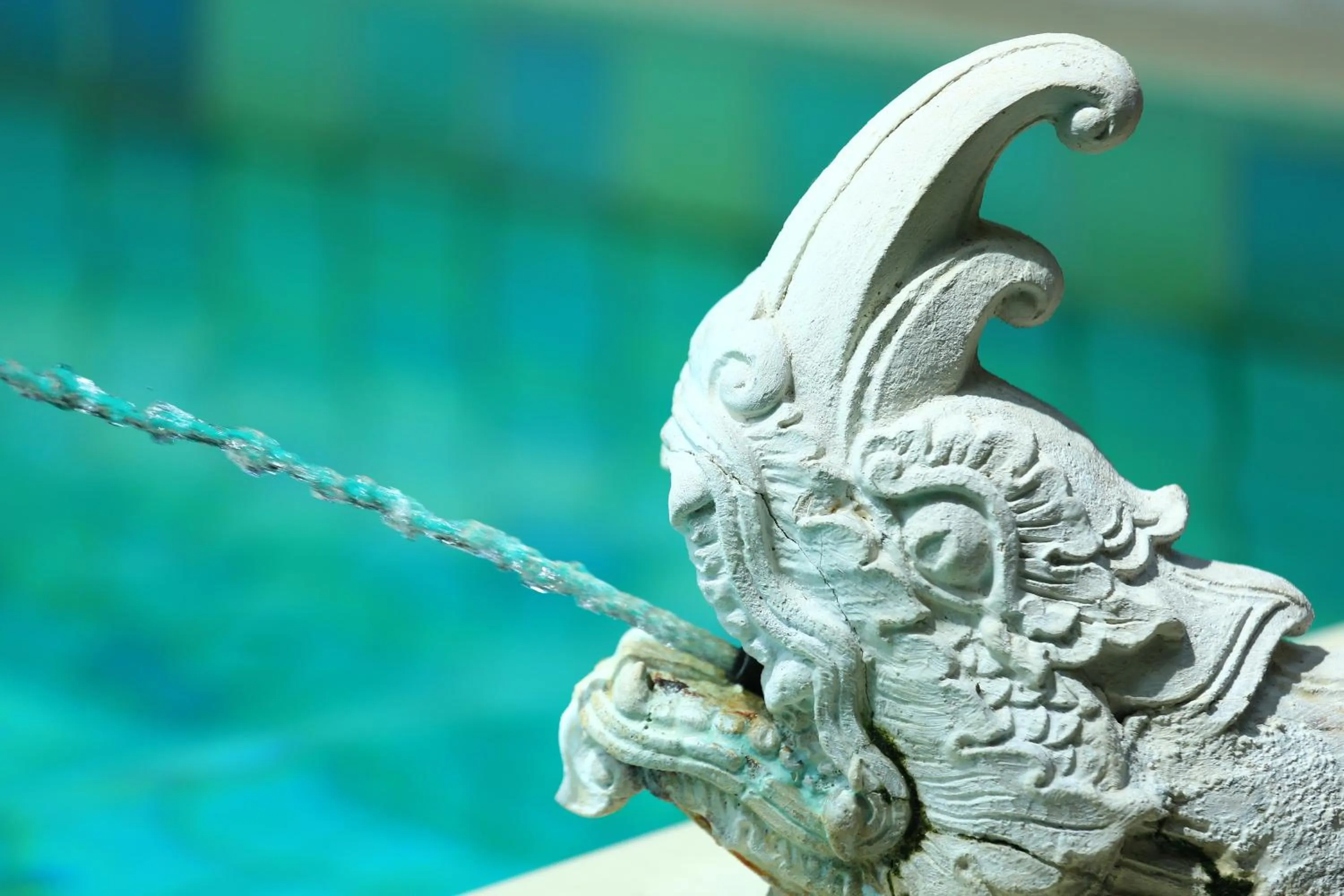 Swimming pool in The Rim Chiang Mai