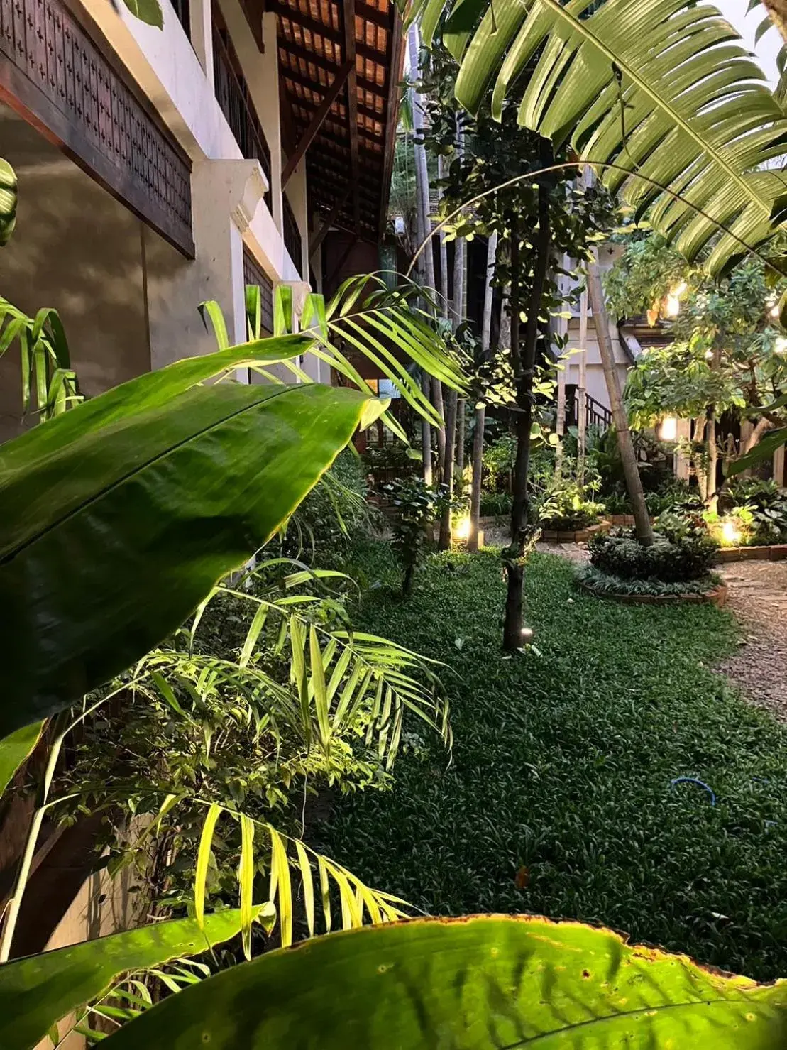 Garden view in The Rim Chiang Mai Garden view in The Rim Chiang Mai