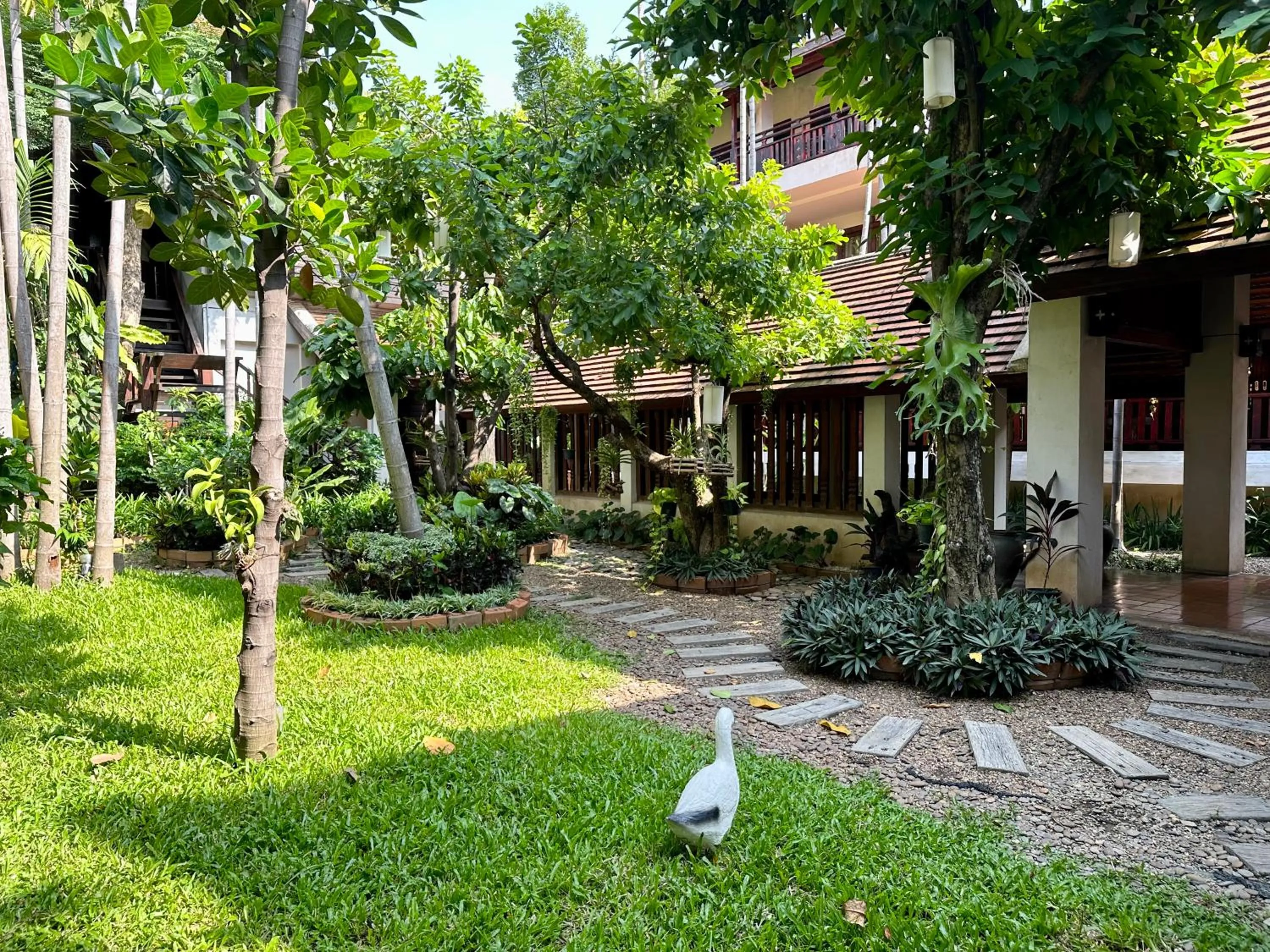 Garden in The Rim Chiang Mai