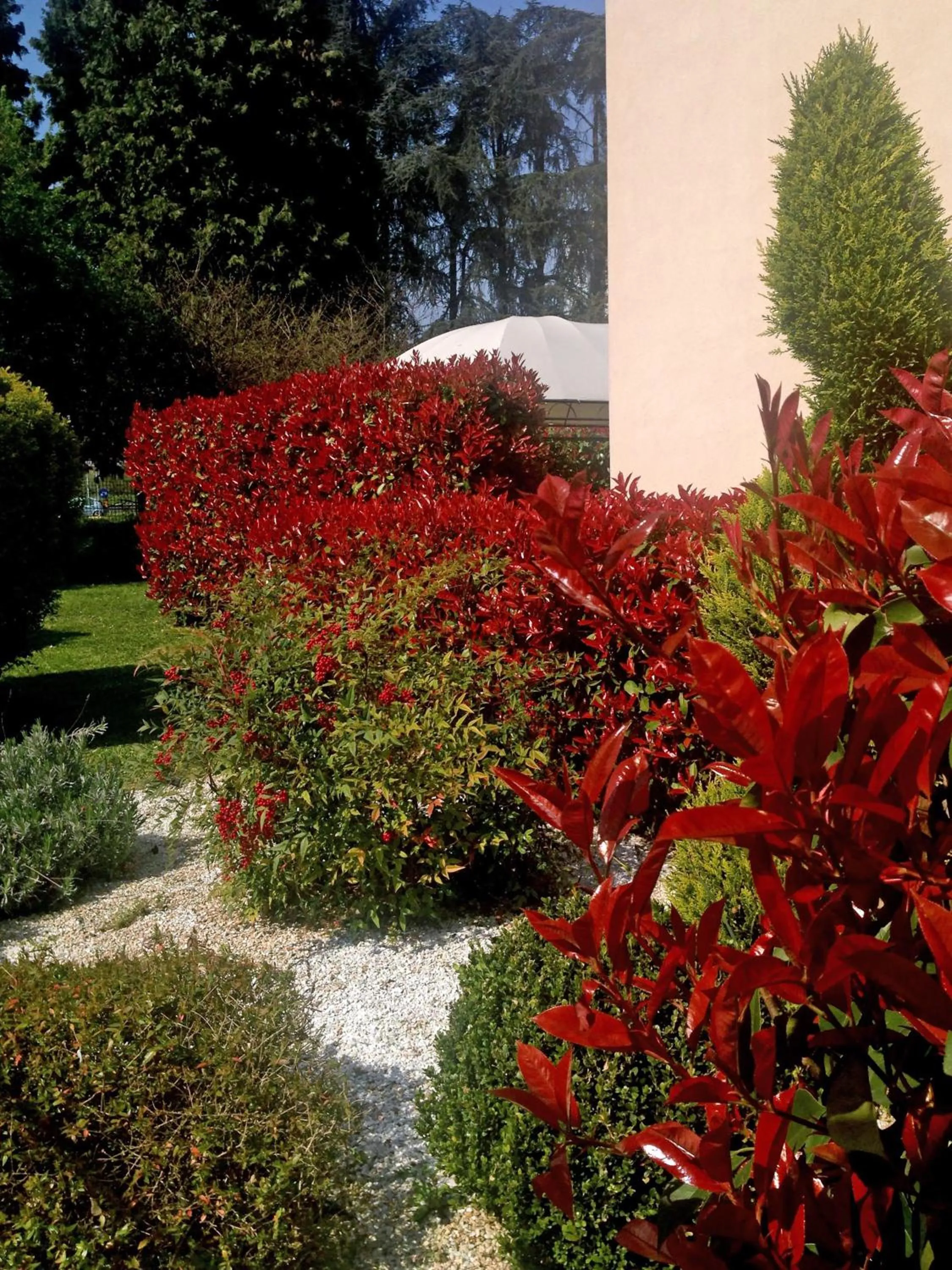 Patio in Hotel Forum