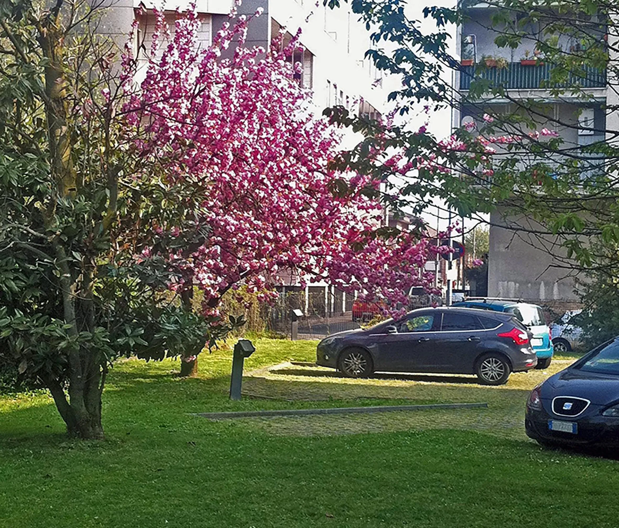 Property building in Hotel Forum