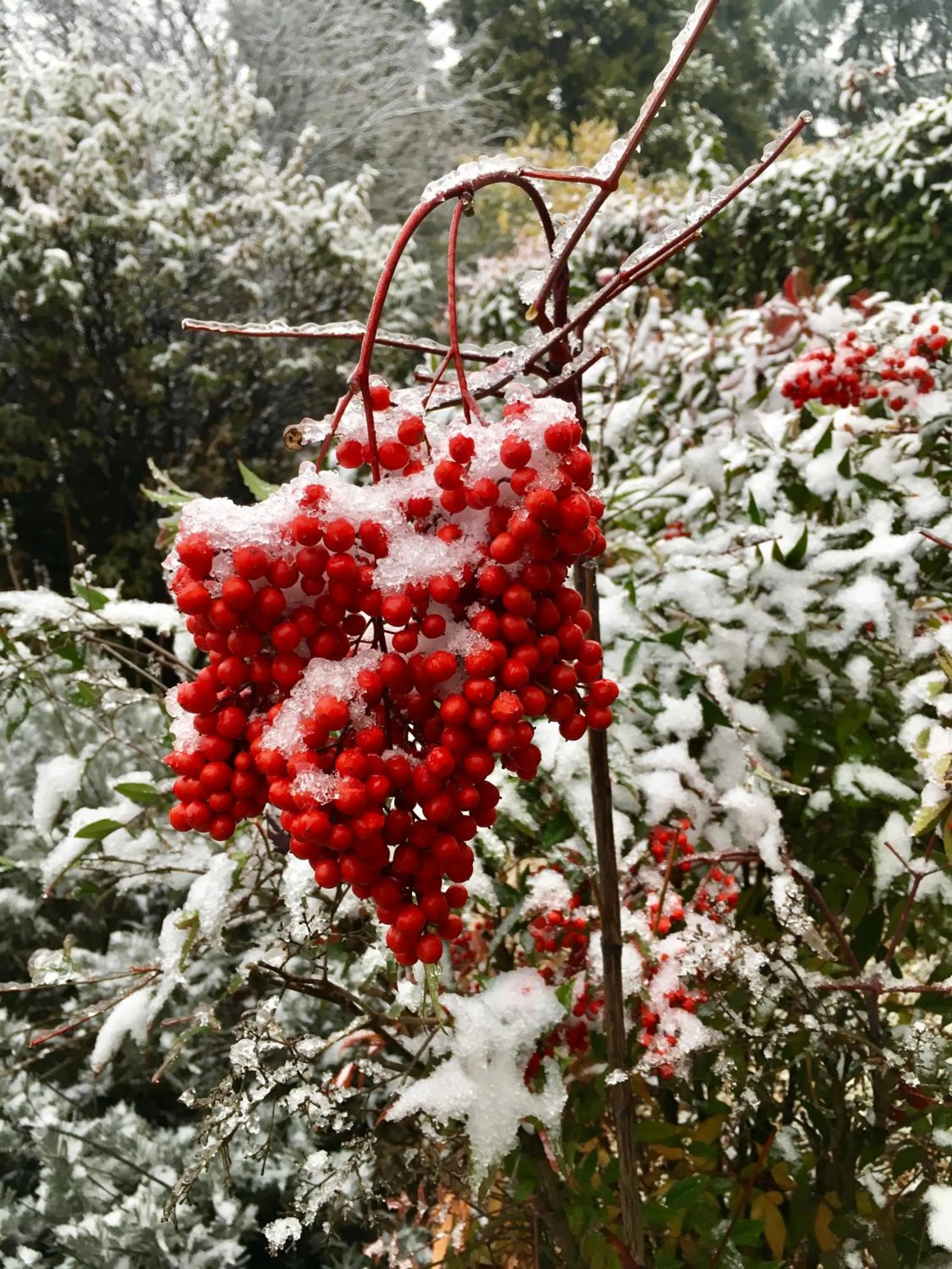 Facade/entrance in Hotel Forum