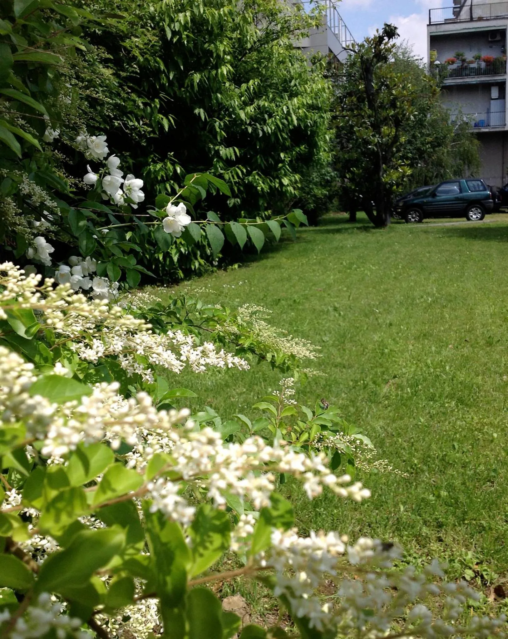 Restaurant/places to eat in Hotel Forum