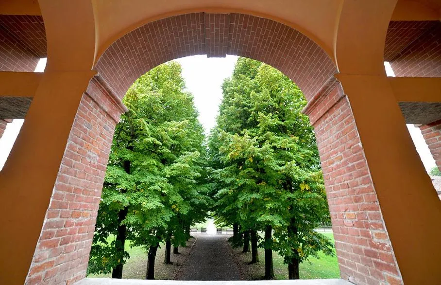 Garden view in Foresteria La Rubbianetta
