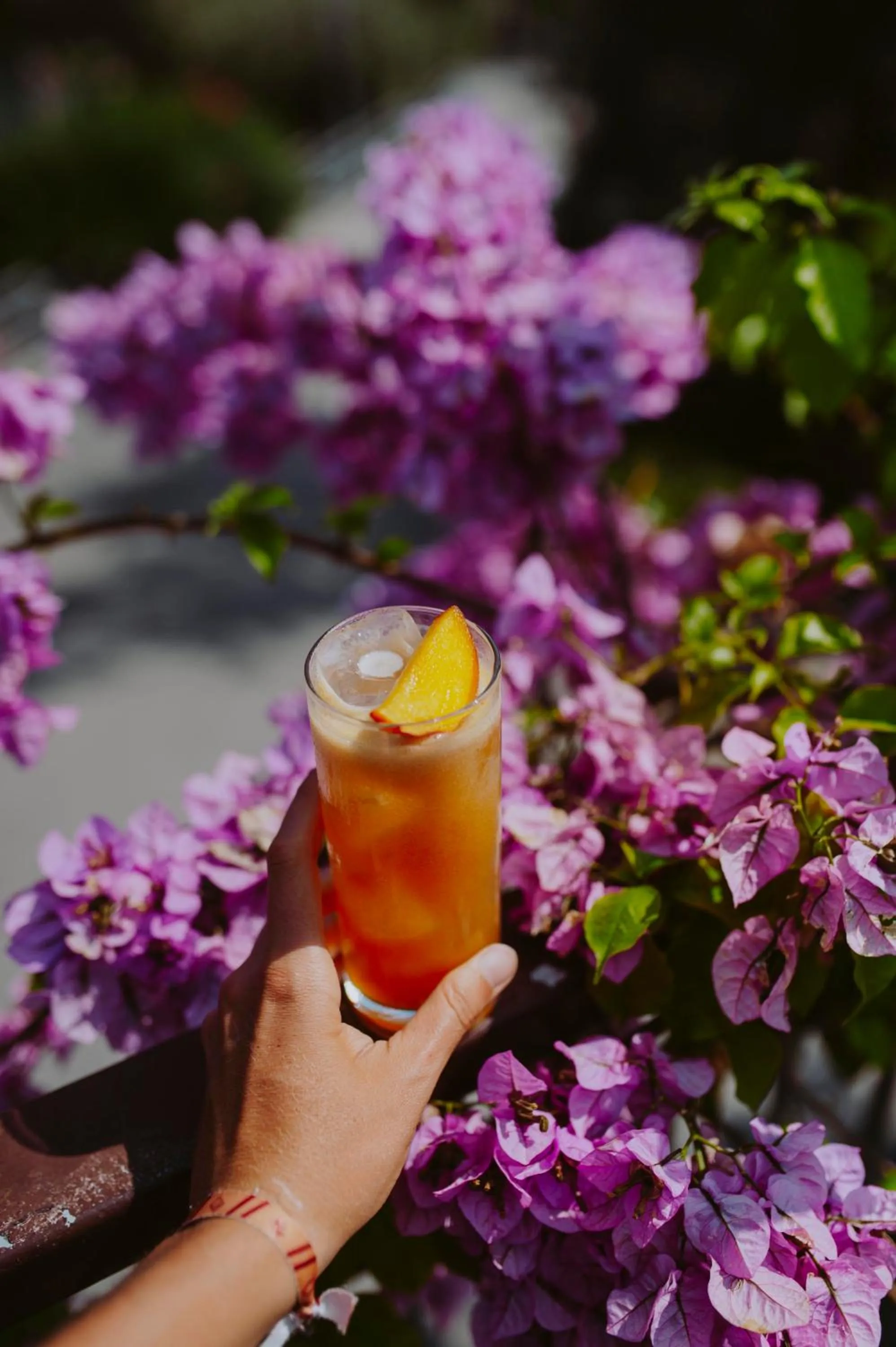 Restaurant/places to eat in Hotel Limone