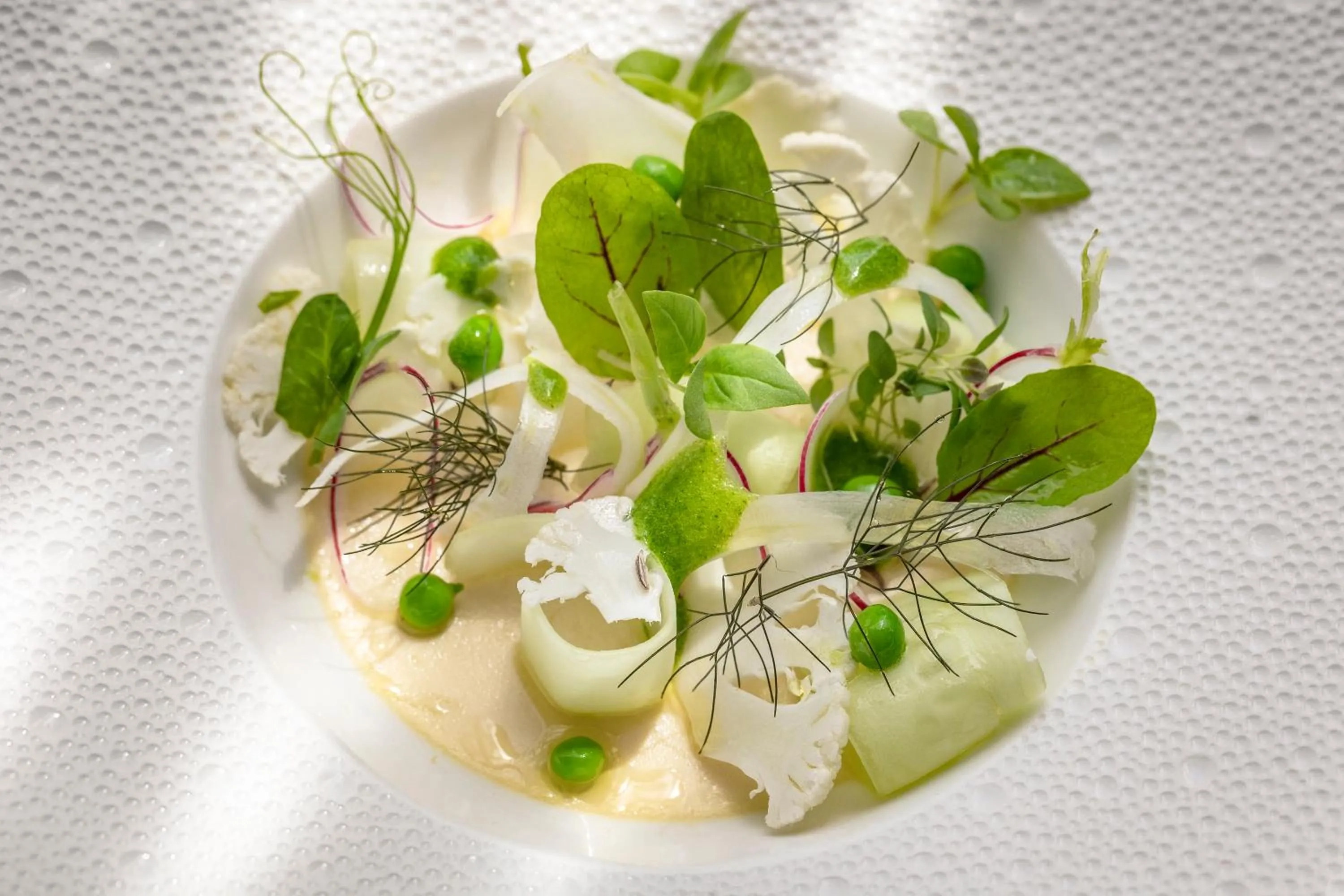 Dinner in Le Carré d'Alethius Logis Hôtel-Restaurant Gastronomique