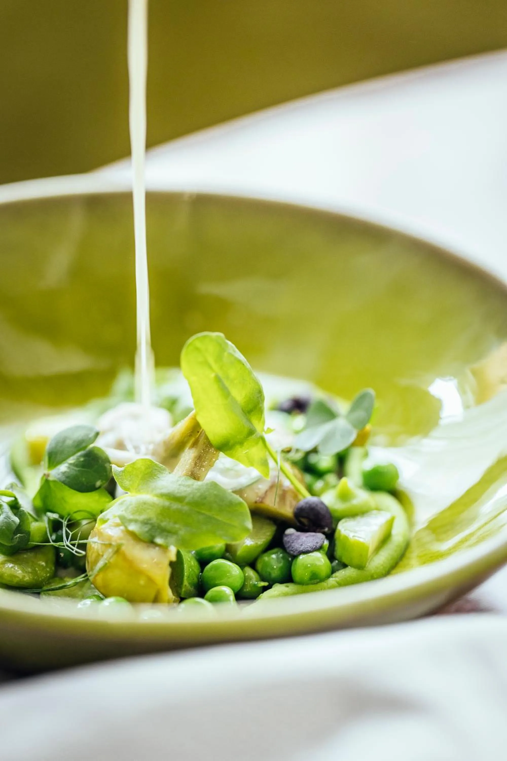 Dinner in Le Carré d'Alethius Logis Hôtel-Restaurant Gastronomique