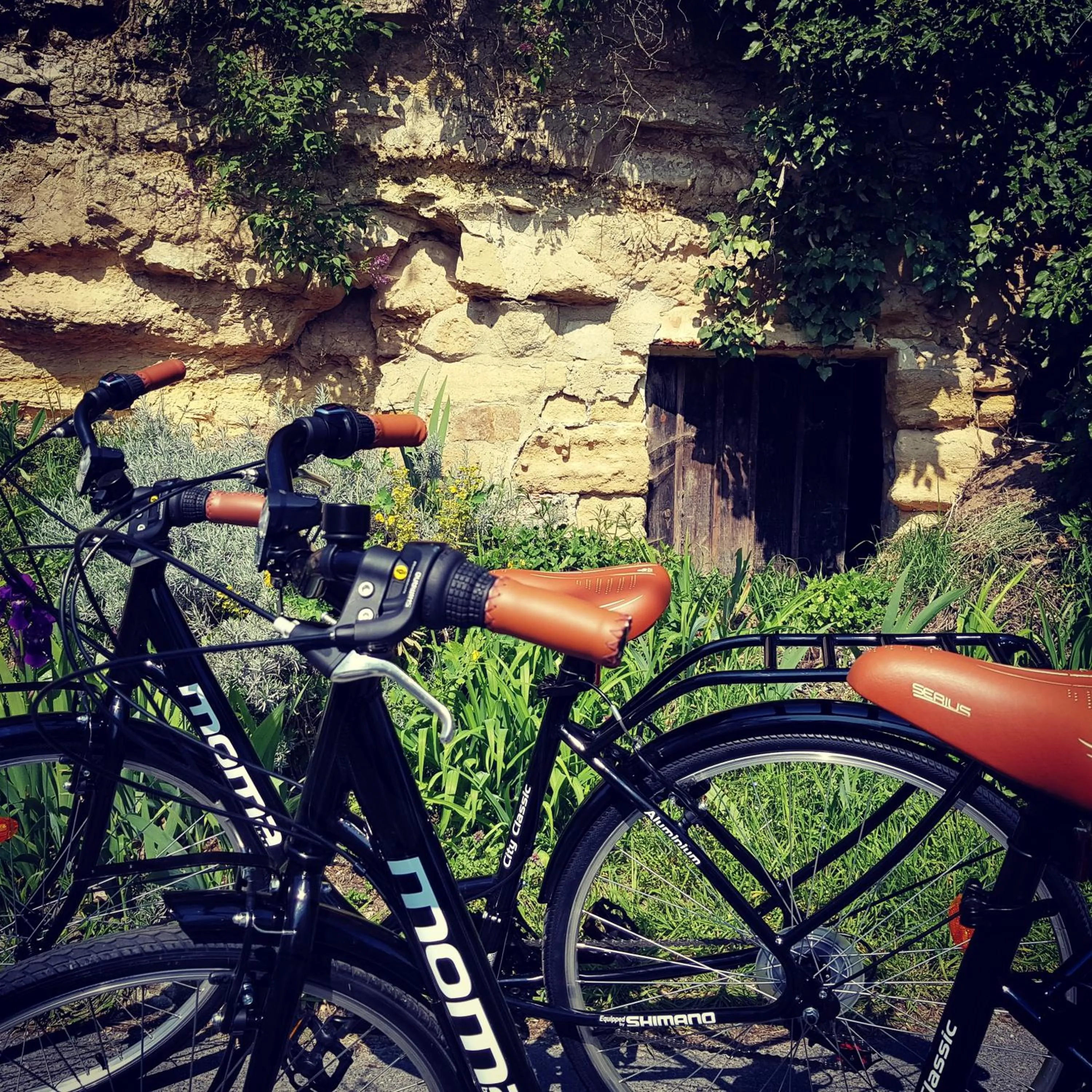 Le Panoramique Auvers