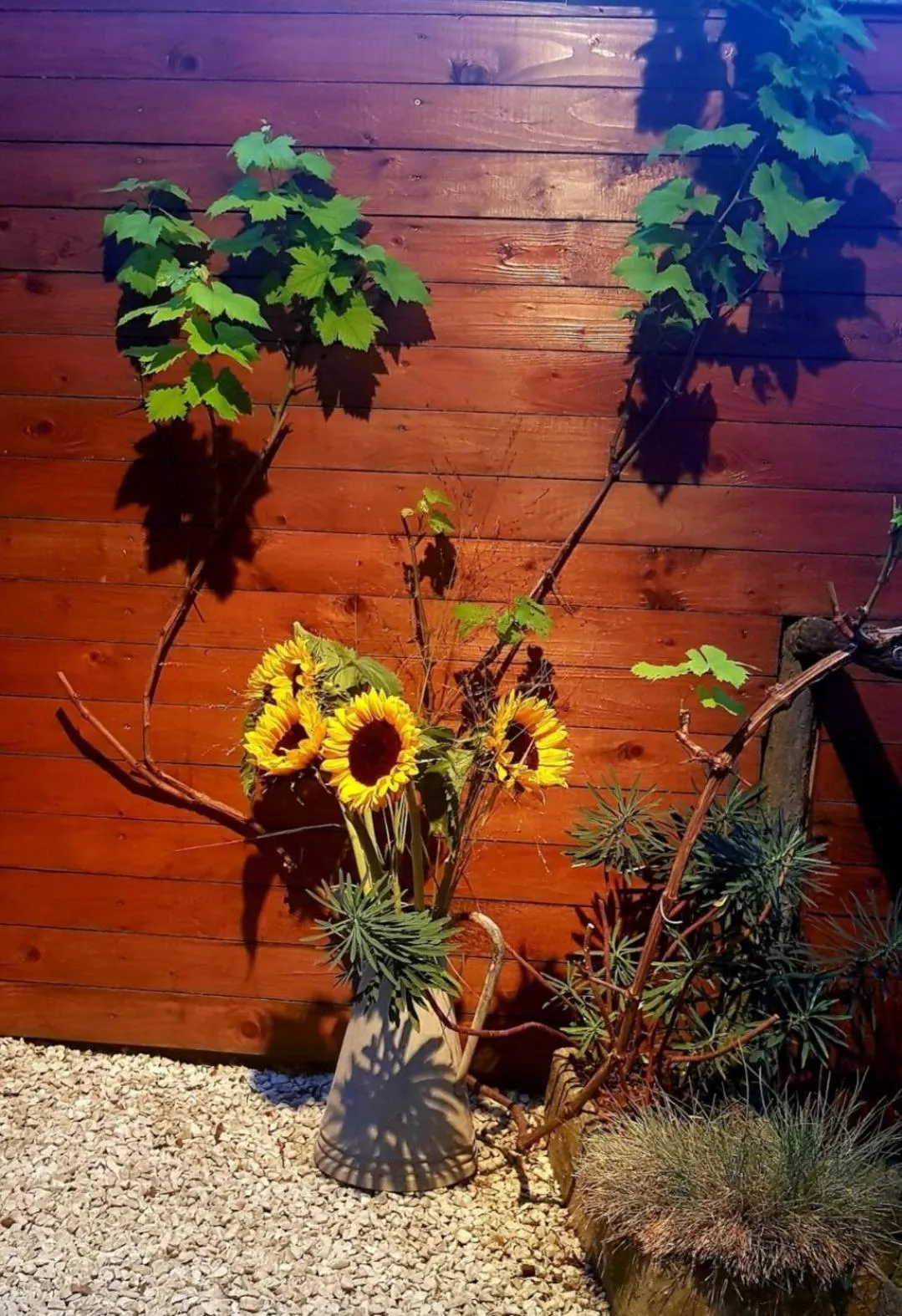 Le Panoramique Auvers