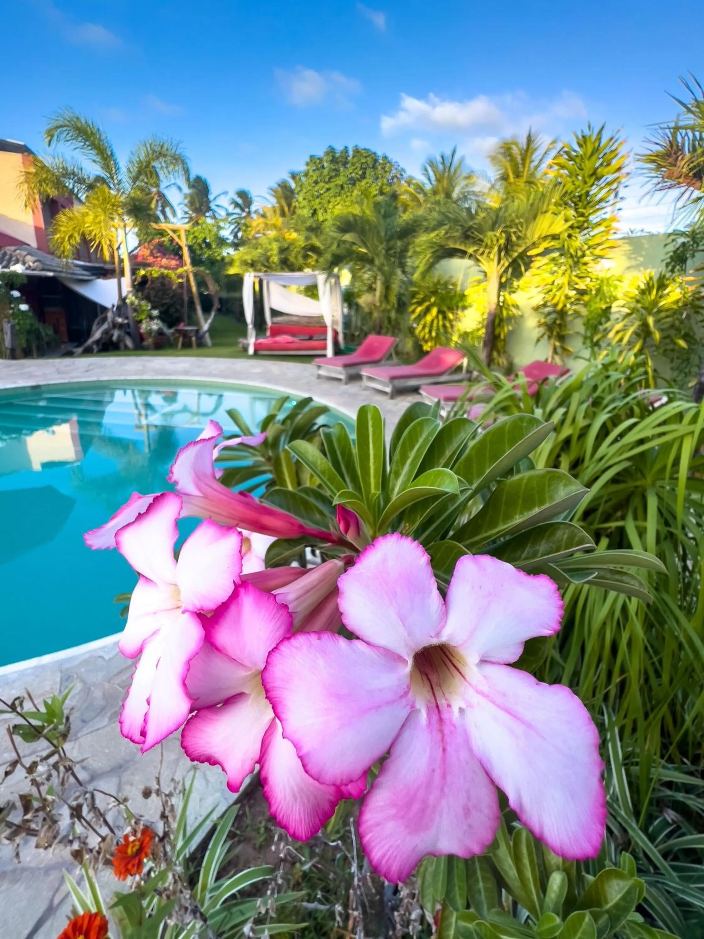 Spring in Xainã Pousada de Charme