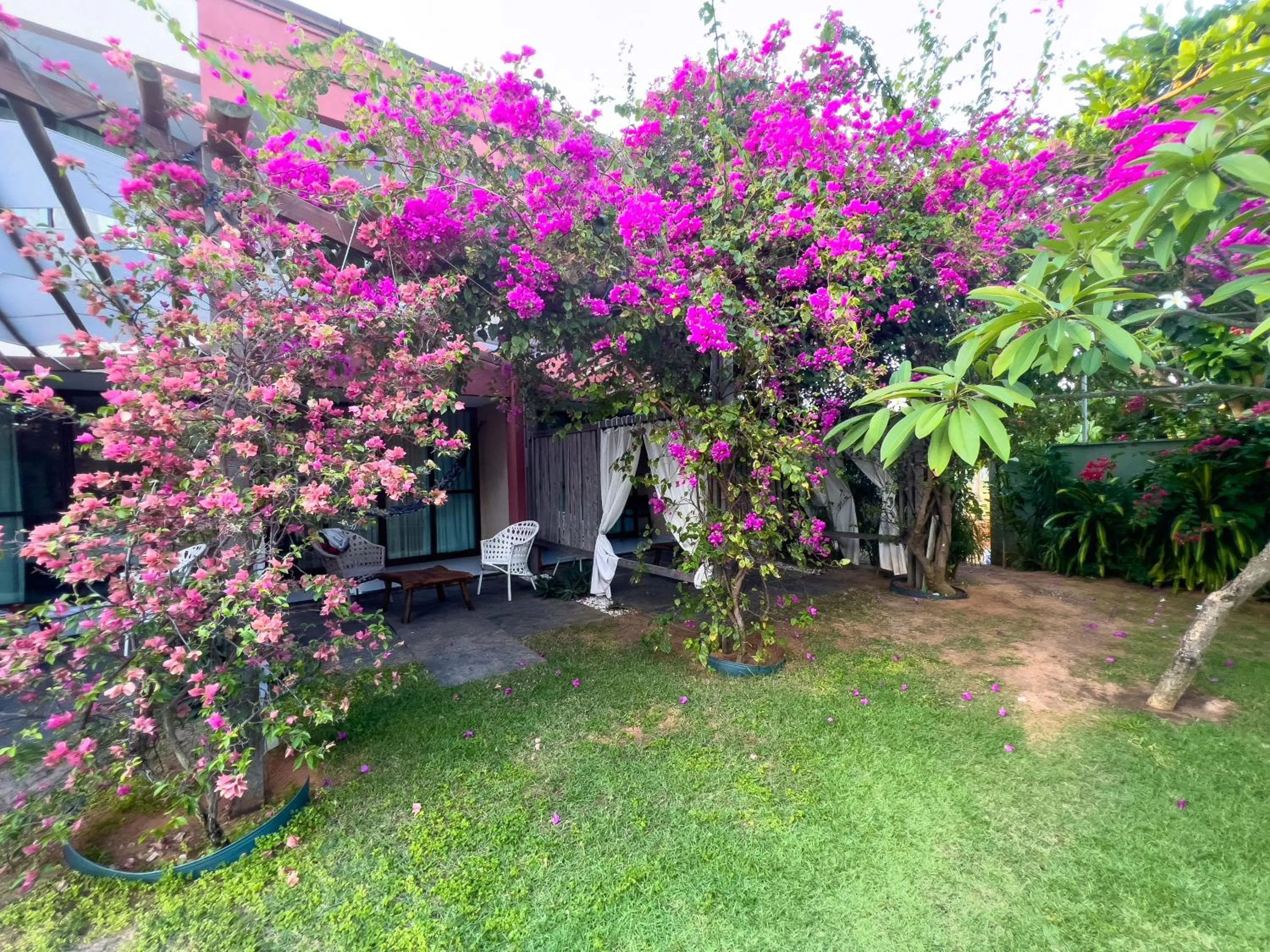 Spring in Xainã Pousada de Charme