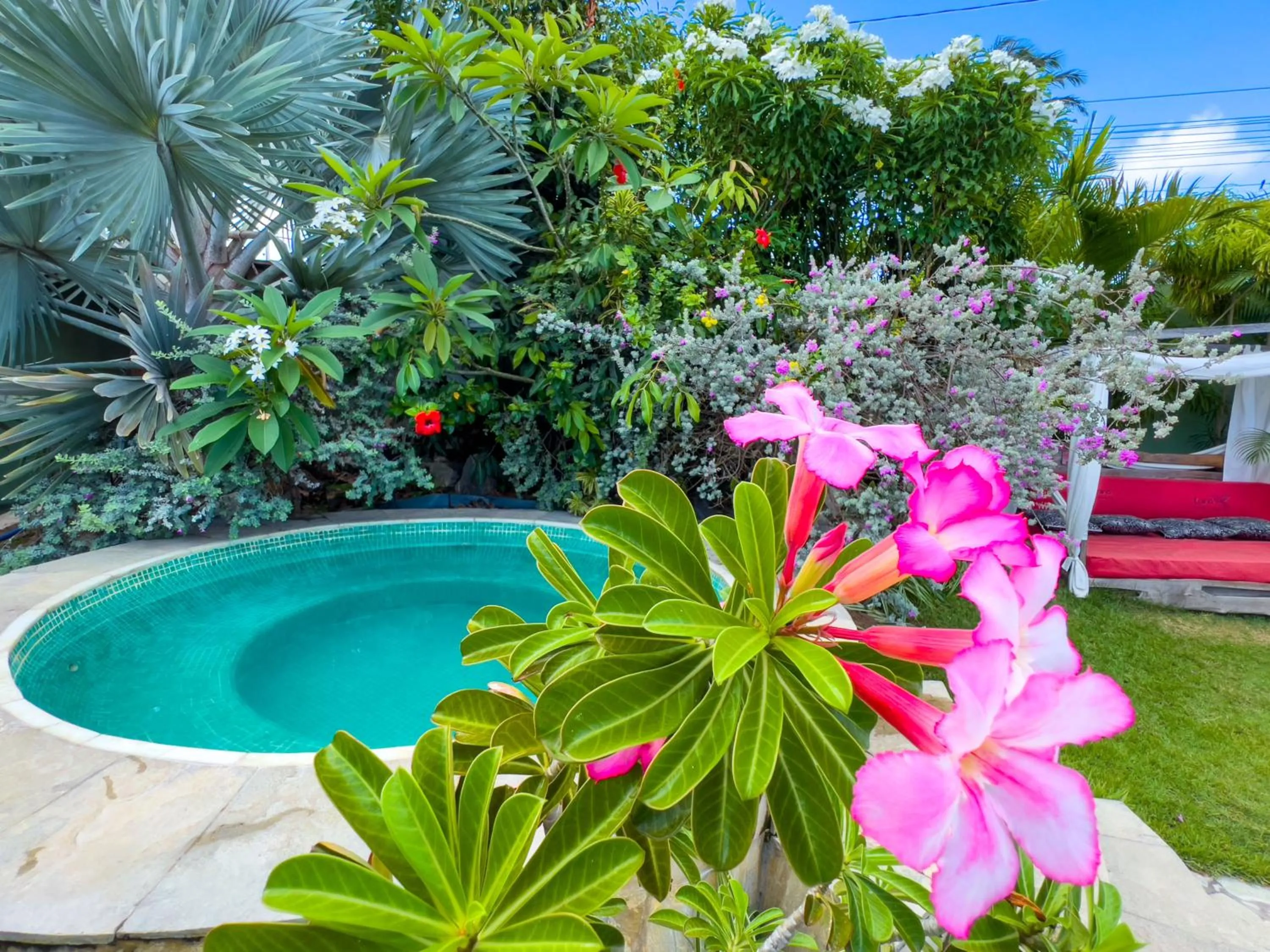 Spring in Xainã Pousada de Charme