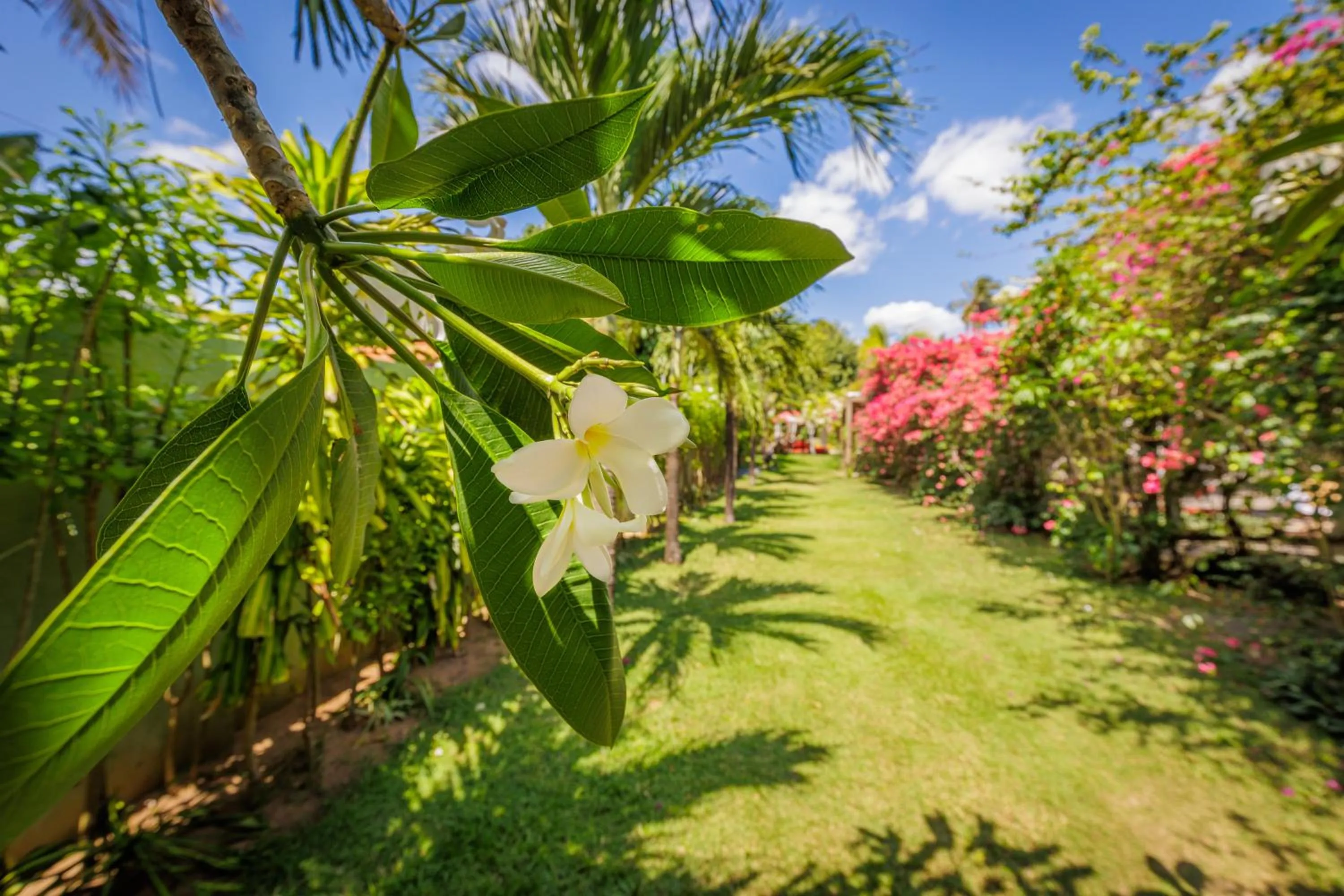 Xainã Pousada de Charme