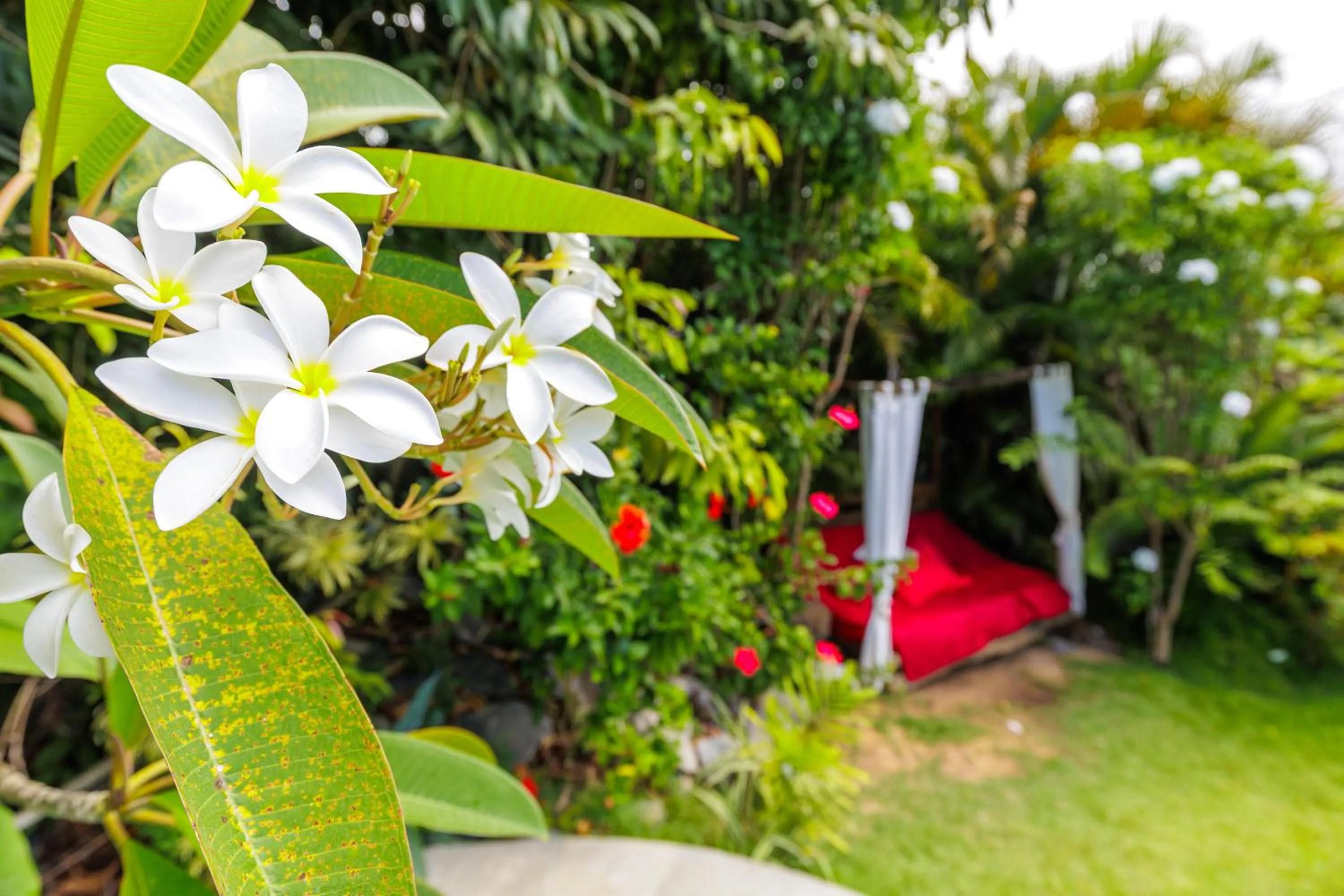 Xainã Pousada de Charme