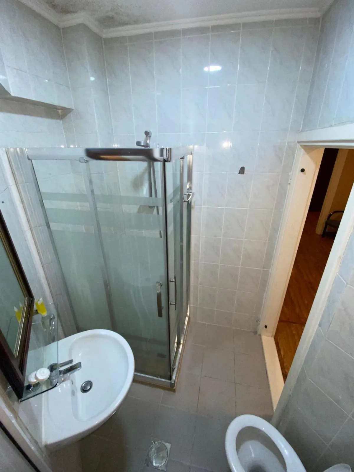 Toilet in Rozana Hotel