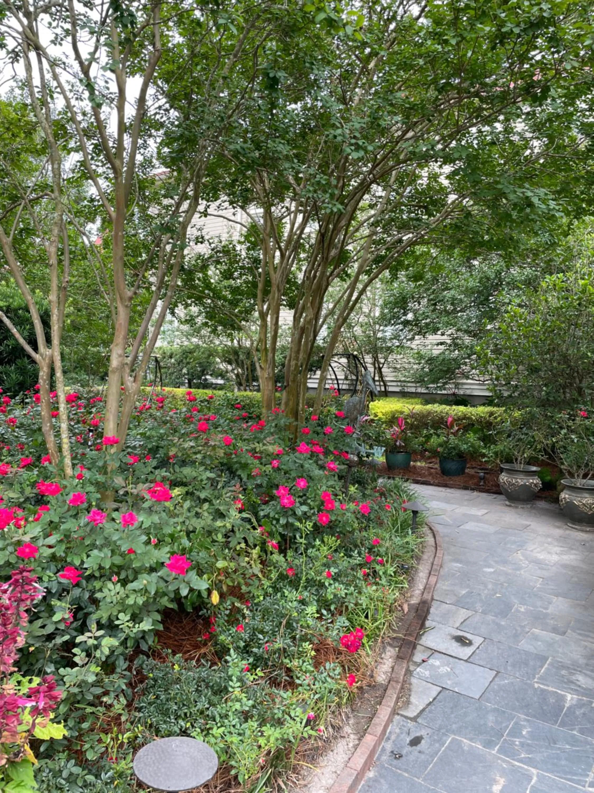 Garden in 22 Charlotte