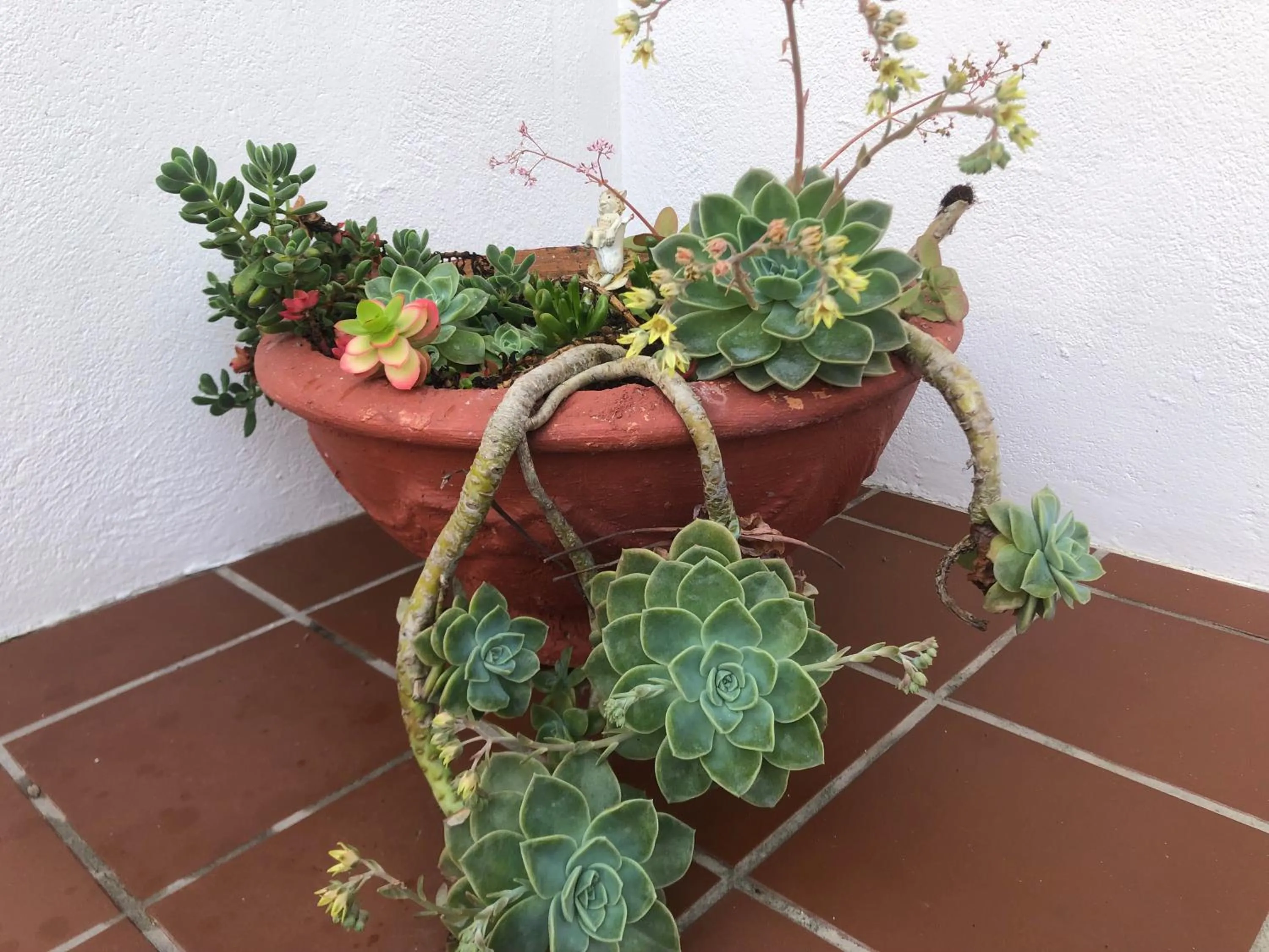 Inner courtyard view in BlueSky Arniston Guest House