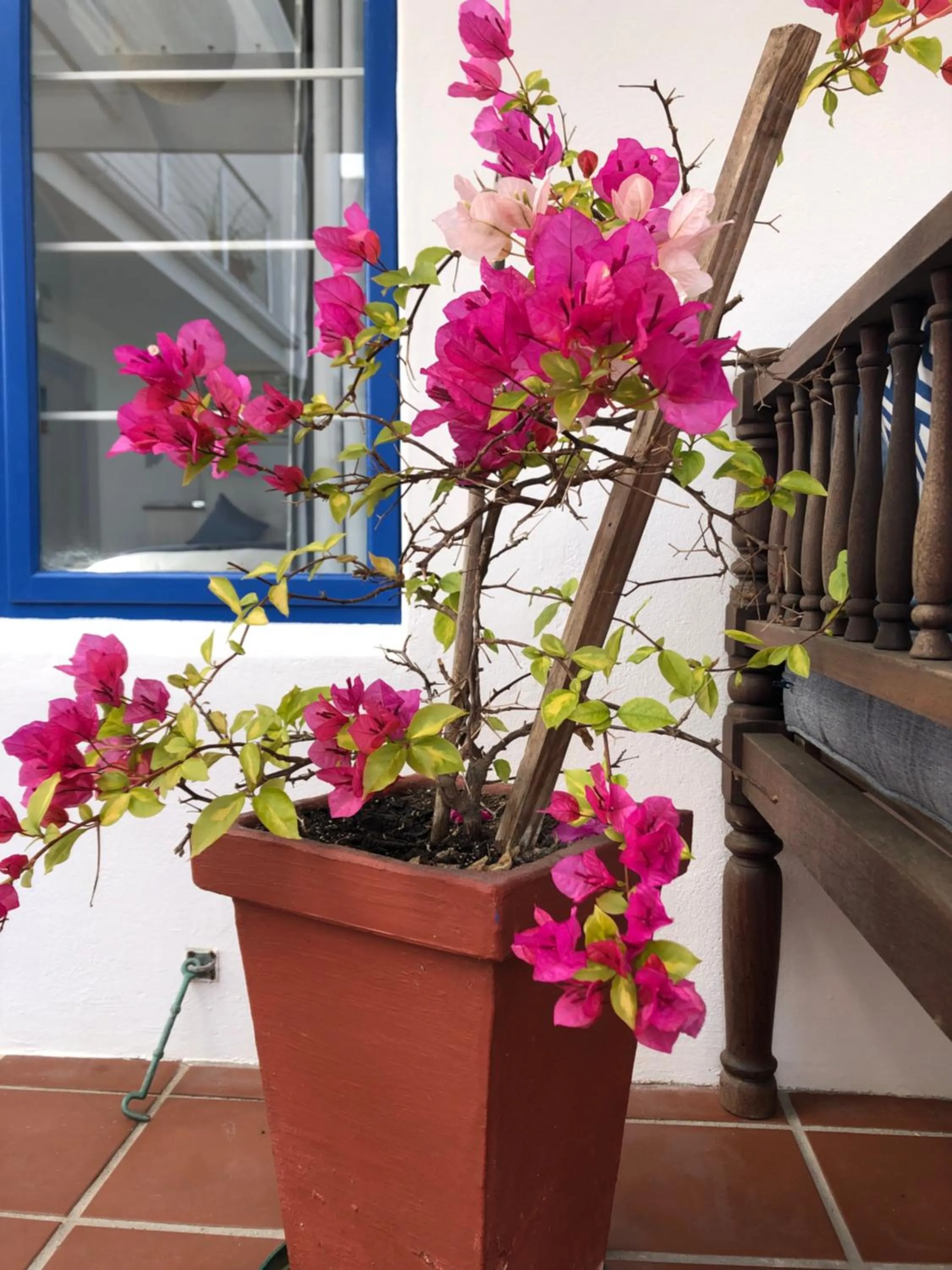 Inner courtyard view in BlueSky Arniston Guest House