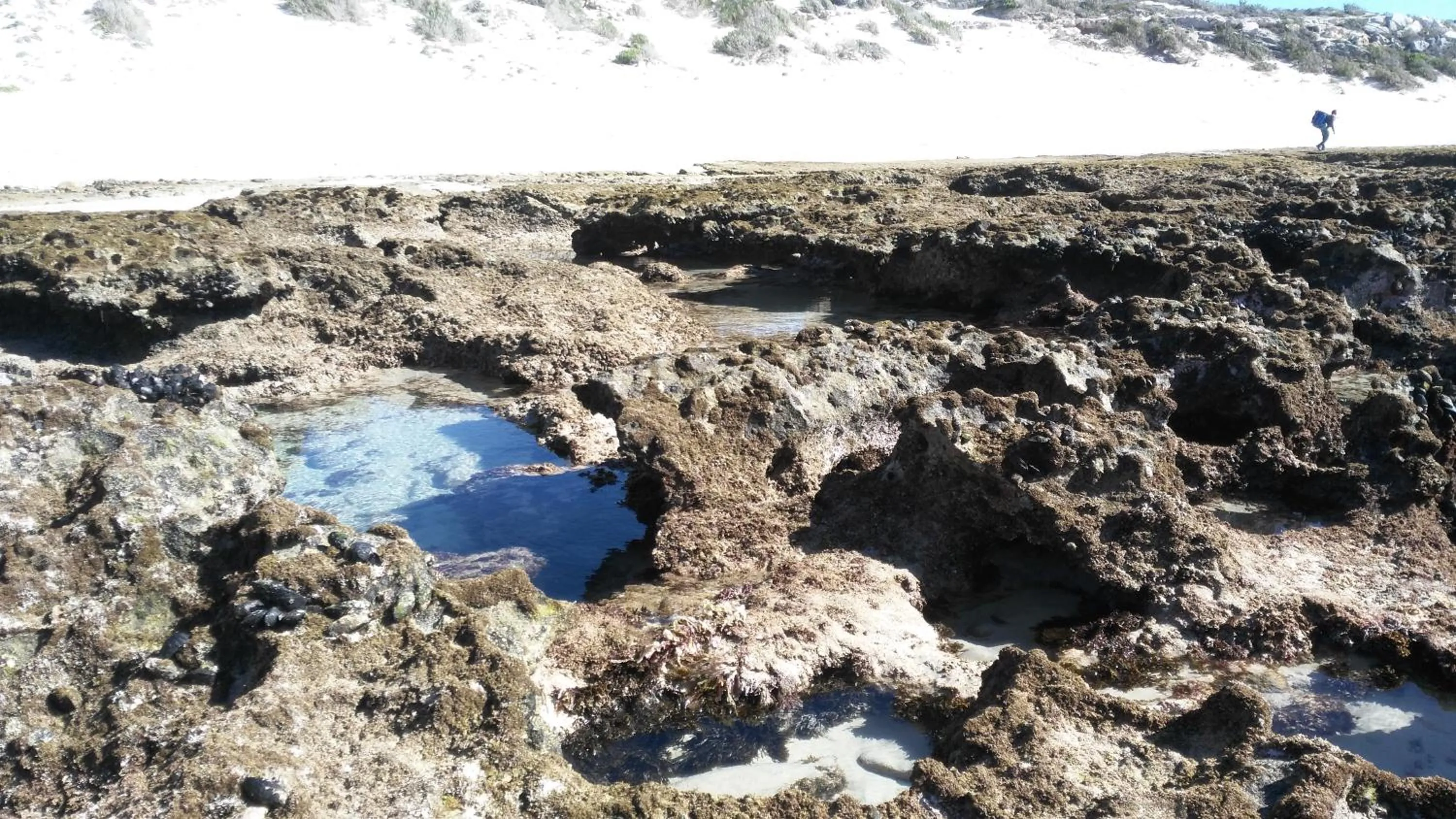 Day in BlueSky Arniston Guest House