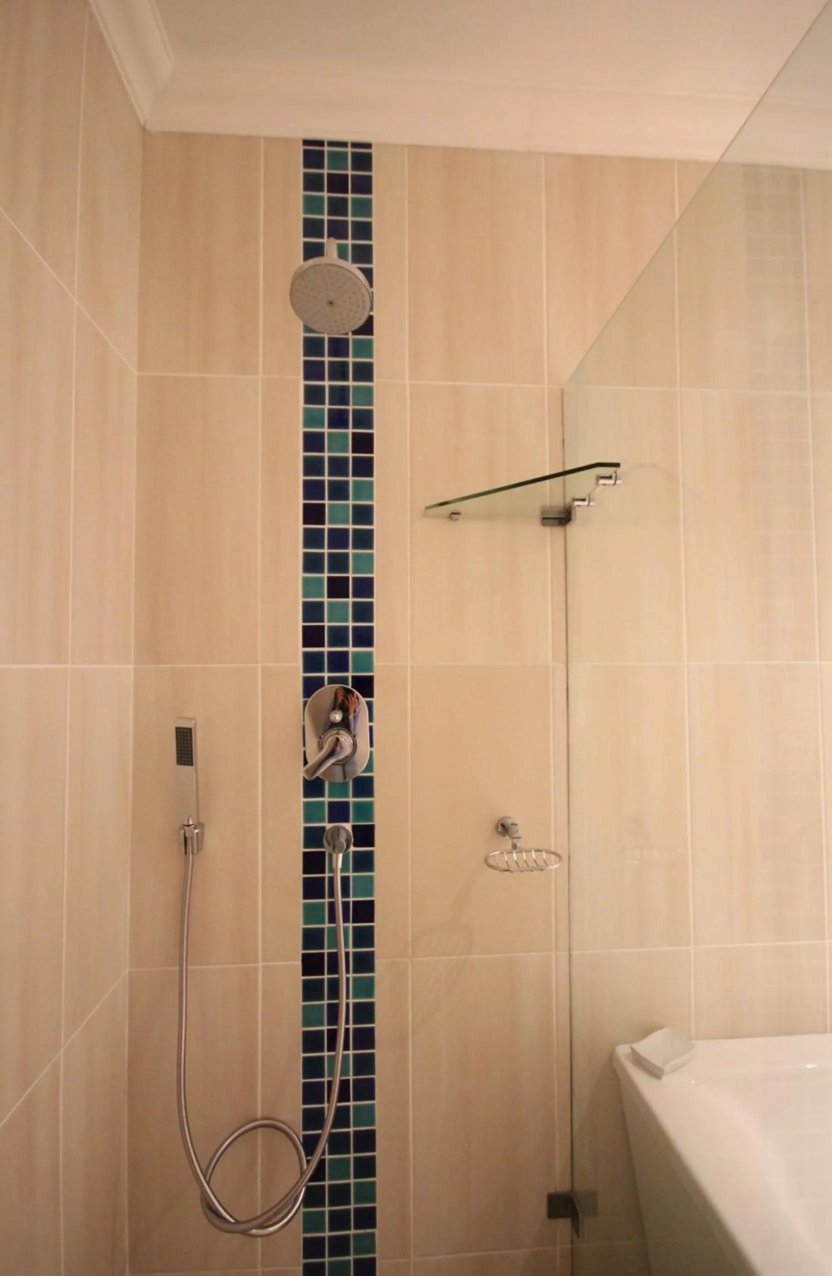 Shower in BlueSky Arniston Guest House