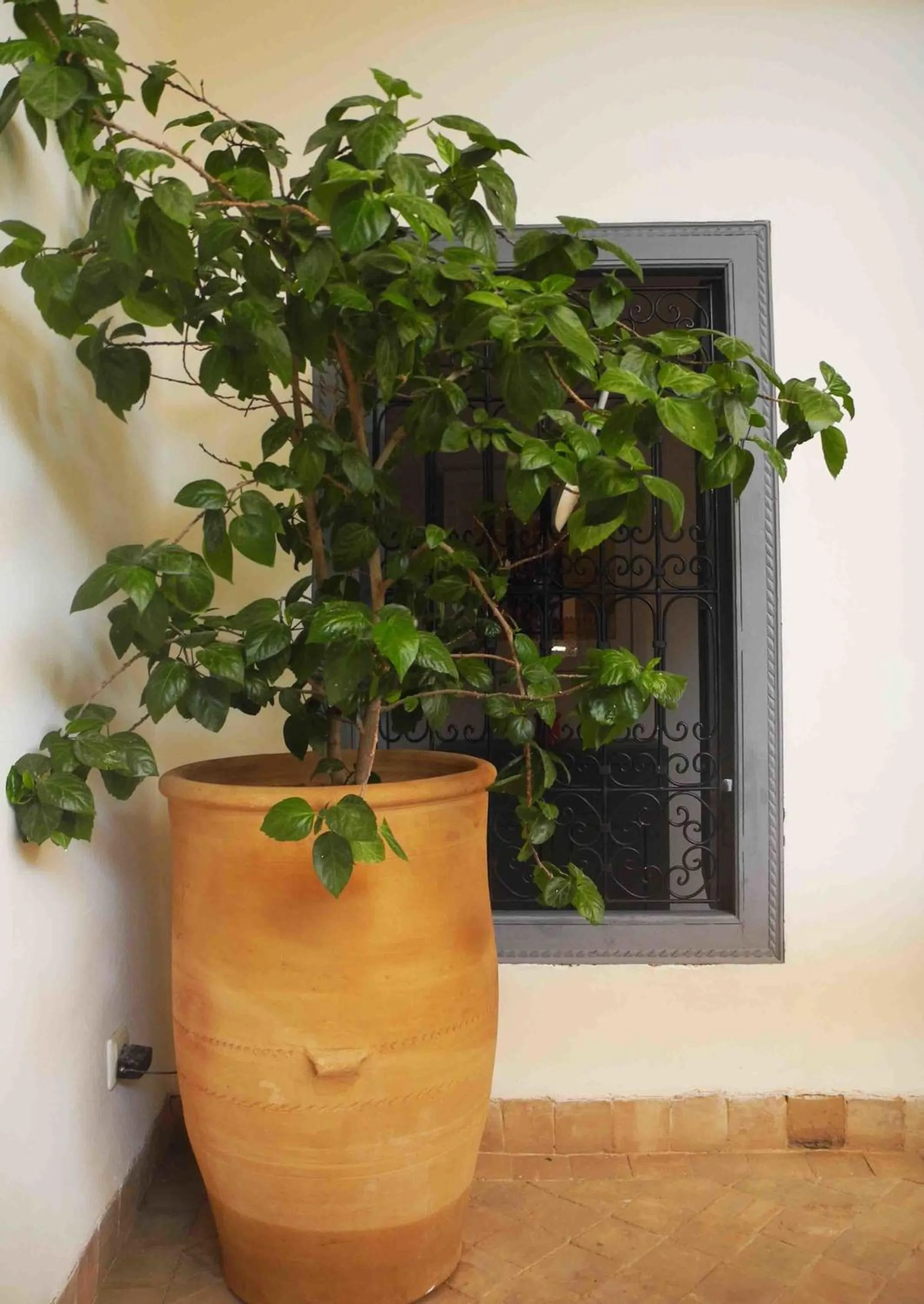 Decorative detail in Riad Linda