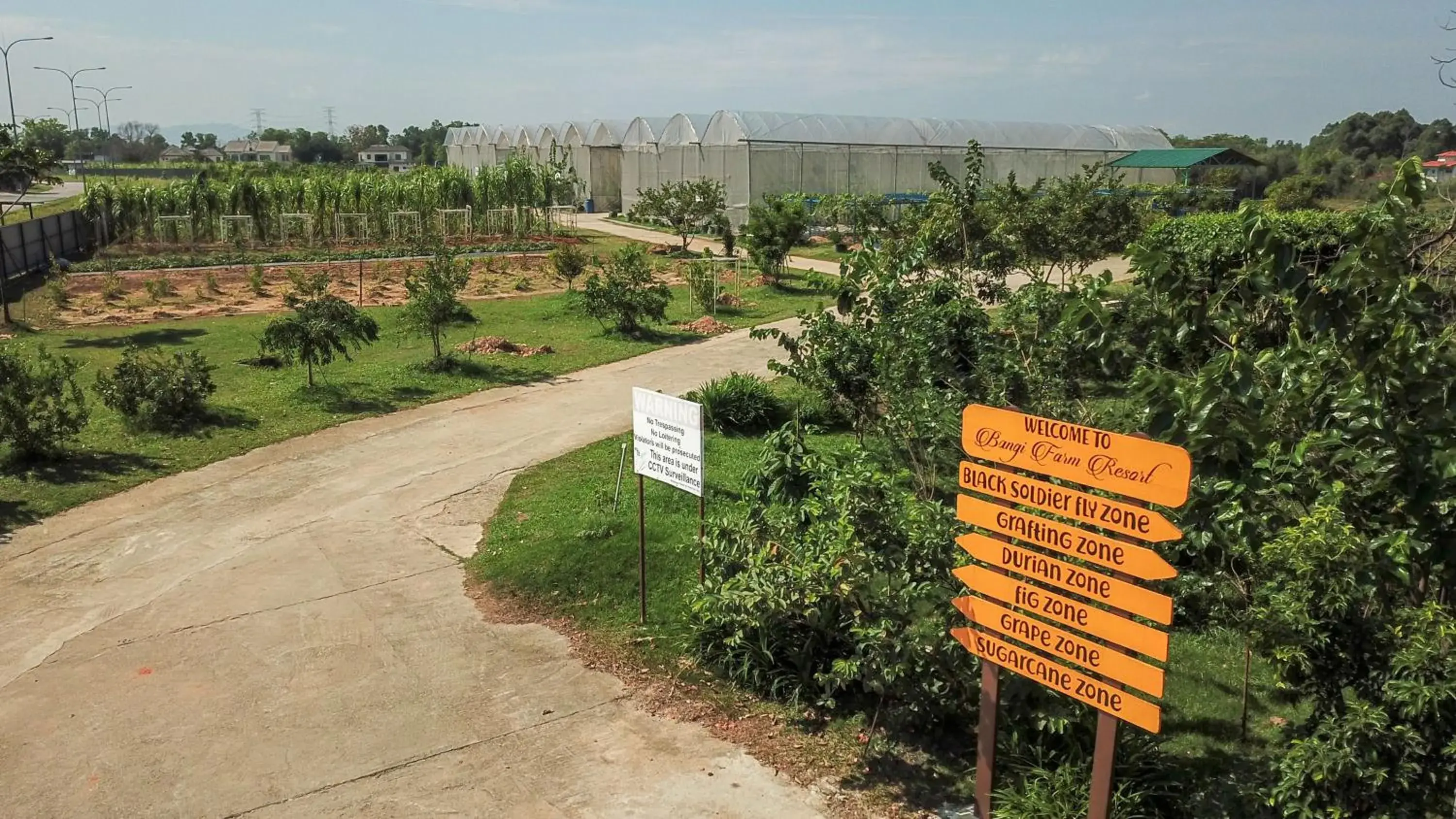 Garden view in Bangi Resort Hotel Garden view in Bangi Resort Hotel
